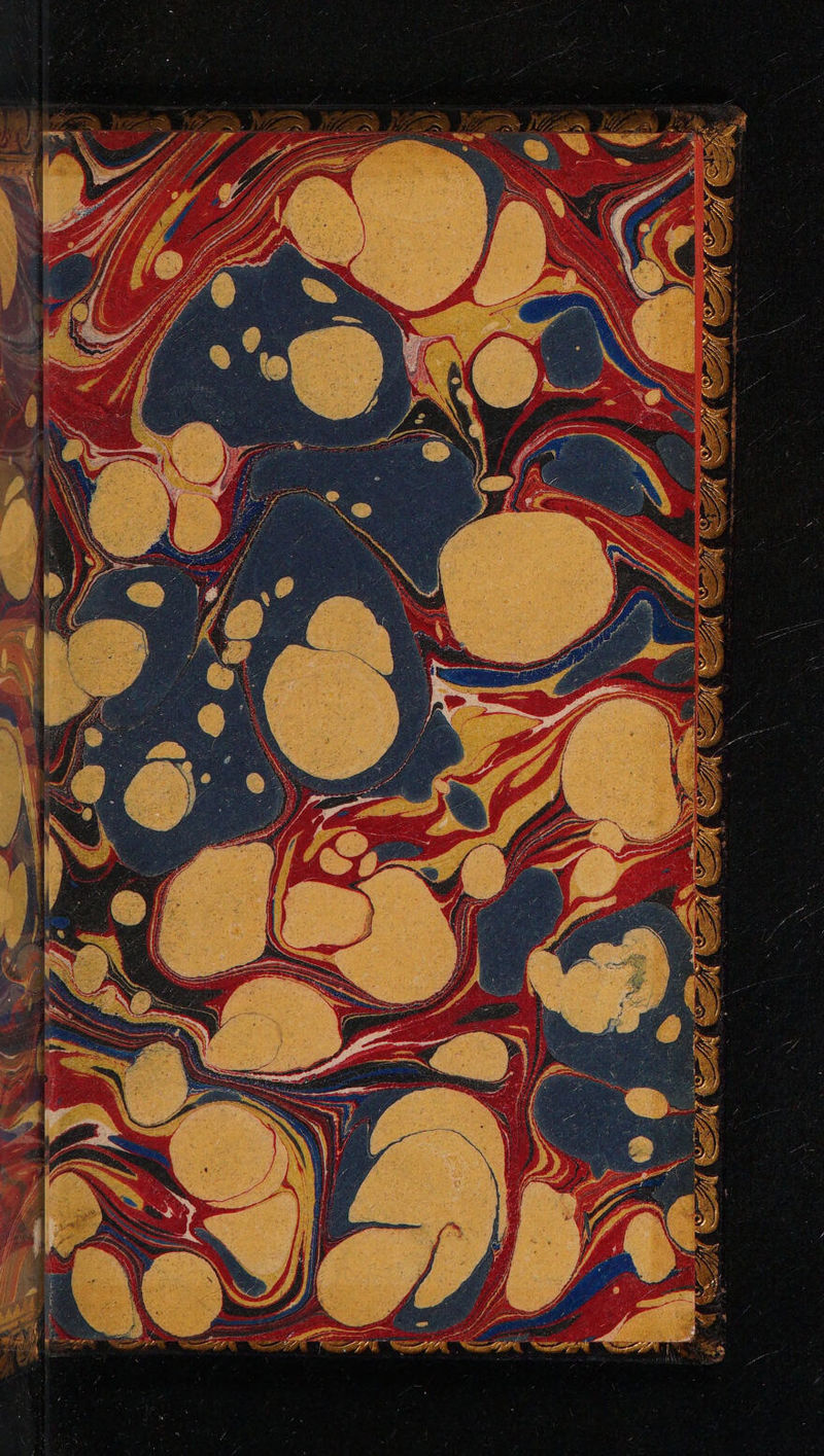 eel | 4 SE A NCI Sallie 5: a a 