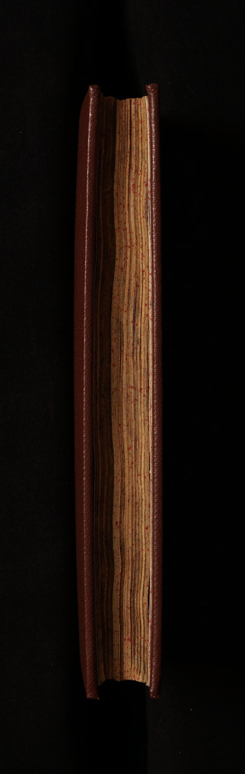 No text description is available for this image