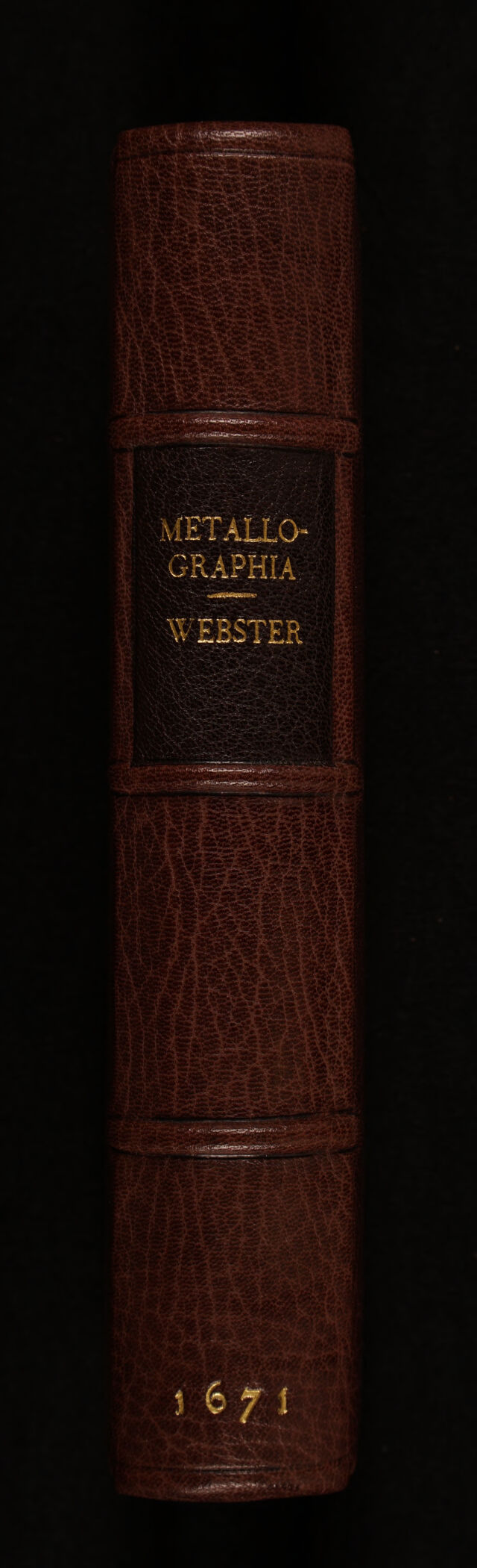 No text description is available for this image