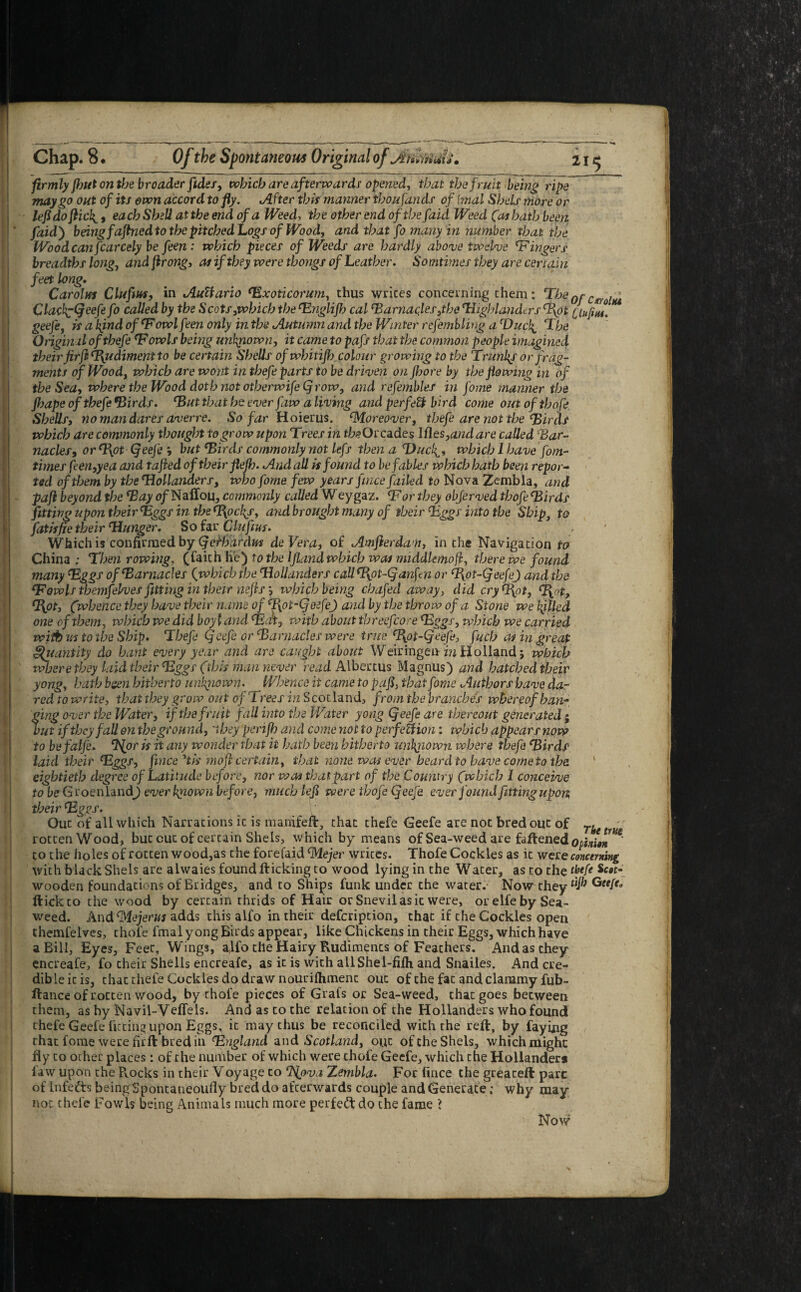 firmly flout on the broader fldss, which are afterwards opened, that the fruit being ripe may go out of its own accord to fly. After this manner thousands of \mal Shels more or lefldo flicks 9 each Shell at the end of a Weed, the other end of the fail Weed (at hath been \' faid') being faftned to the pitched Logs of Wood, and that fo many in number that the Wood can fcarcely be feen: which pieces of Weeds are hardly above twelve lingers breadths long, and flrong, as if they were thongs of Leather. Sotntimes they are certain feet long. , Carolus Clufius, in AuUario Txoticorum, thus wrices concerning them: The0rCjtr w Clach^Cjeefefo called by the Scots,which the Tngliflo cal Harnaclesjbe Highlanders Hot iiufiut. geefe, is a kind ofT owl feen only in the Autumn and the Winter refembling a cDuch^ The Originalofthefe Towls being unhjiown, it came to pafs that the common people imagined ; their firfi Rudiment to be certain Shells ofwhitijh colour growing to the Trunk/ or frag¬ ments of Wood, which are wont in thefe parts to be driven on jhore by the flowing in of the Sea, where the Wood doth not otherwise (3row, and refembles in fome manner the jhape of thefe *Birds. Hut that he ever faw a living and perfeU bird come out of thofe Shells, no man dares averre. So far Hoierus. ‘•Moreover, thefe are not the Hirds which are commonly thought to grow upon Trees in the Orcades Ittes,and are calledeBar¬ nacles, or Hot Qeefe *, but Thais commonly not lefs then a Duelwhich 1 have fom- times feen,yea and rafted of their fleflo. And all is found to be fables which hath been repor¬ ted of them by the Hollanders, who fome few years fmee failed to Nova Zambia, and paft beyond the Hay o/Naffou, commonly called Weygaz. Tor they objerved thofe Tirds fitting upon their Tggs in the Hock/, and brought many of their Tggs into the Sbipf to fatisfie their Hunger. So far Clufm. Which is confirmed by (jeibardus deVera, of Amfterdah, in the Navigation to China; Then rowing, (faith he) to the Ifland which was middlemoft, there we found many Tggs of Tarnacles {which the Hollanders caUH°t-Qanftn or Hot-(jeefeJ and the Howls themfePves fitting in their nefis *, which being chafed away, did cry Hot, H°t> Hot, (whence they have their name of Hot-Gfeefe) and by the throw of a Stone we killed one of themy which we did boy l and Tick, with about threefcore Tggs, which we carried with vs to the Ship. Thefe Cjeefe or Tarnacles were true Hot-Qeefe, fuch as in great Quantity do bant every year and are caught about Weiringen in Holland which where they laid their Tggs (this man never read Albertus Magnus) and hatched their yong, hath bsen hitherto unkyiown. Whence it came to paft, that fome Authors have da¬ red to write, that they grow out of Trees in Scotland, from the branches whereof han¬ ging over the Water, if the fruit fall into the Water yong Qeefe are thereout generated; but if they fall on the ground, 'they perifto and come not to perfection: which appears now to befalfe. ctfor is it any wonder that it hath been hitherto nnkiiown where thefe Tirds laid their Tggs, ftnceTss moft certain, that none was ever beard to have come to the eightieth degree of Latitude before, nor poos that part of the Country (which I conceive to be Groenland) ever known before, much left were thofe Qeefe ever found fitting upon their Tggs. Out of all which Narrations ic is manifeft, that thefe Geefe are not bred out of The ■ rotten Wood, but cut of certain Shels, which by means of Sea-weed are faflened to the holes of rotten wood,as the forefaid cMejer wrices. Thofe Cockles as ic were concerning with black Shels are alwaies found flicking to wood lying in the Water, as to the tbeft Scot- wooden foundations of Bridges, and to Ships funk under the water. Now chey ^ flick to the wood by certain thrids of Hair or Snevilasit were, or elfe by Sea¬ weed. And CYlejerus adds this alfo in their defeription, that if the Cockles open themfelves, thofe fmal yong Birds appear, like Chickens in their Eggs, which have a Bill, Eyes, Feet, Wings, a,lfo the Hairy Rudiments of Feathers. And as they encreafe, fo their Shells encreafe, as it is with allShel-fifh and Snailes. And cre¬ dible ic is, chat thefe Cockles do draw nouriflimenc out of the fat and clammy fub- ftance of rotten wood, by thofe pieces of Grafs or Sea-weed, that goes between them, as by Navil-Veffels. And as to the relation of the Hollanders who found thefe Geefe fitting upon Eggs, it may thus be reconciled with the reft, by faying that fome were firft bred in Tngland and Scotland, out of the Shels, which might fly to other places: of the number of which were thofe Geefe, which che Hollander* law upon the Pvocks in their Voyage to %(j Zembla. For fince the greaceft pare of Infe&s being Spontaneously bred do afeerwards couple and Generate; why may not thefe Fowls being Animals much more perfect do the fame 1 Now