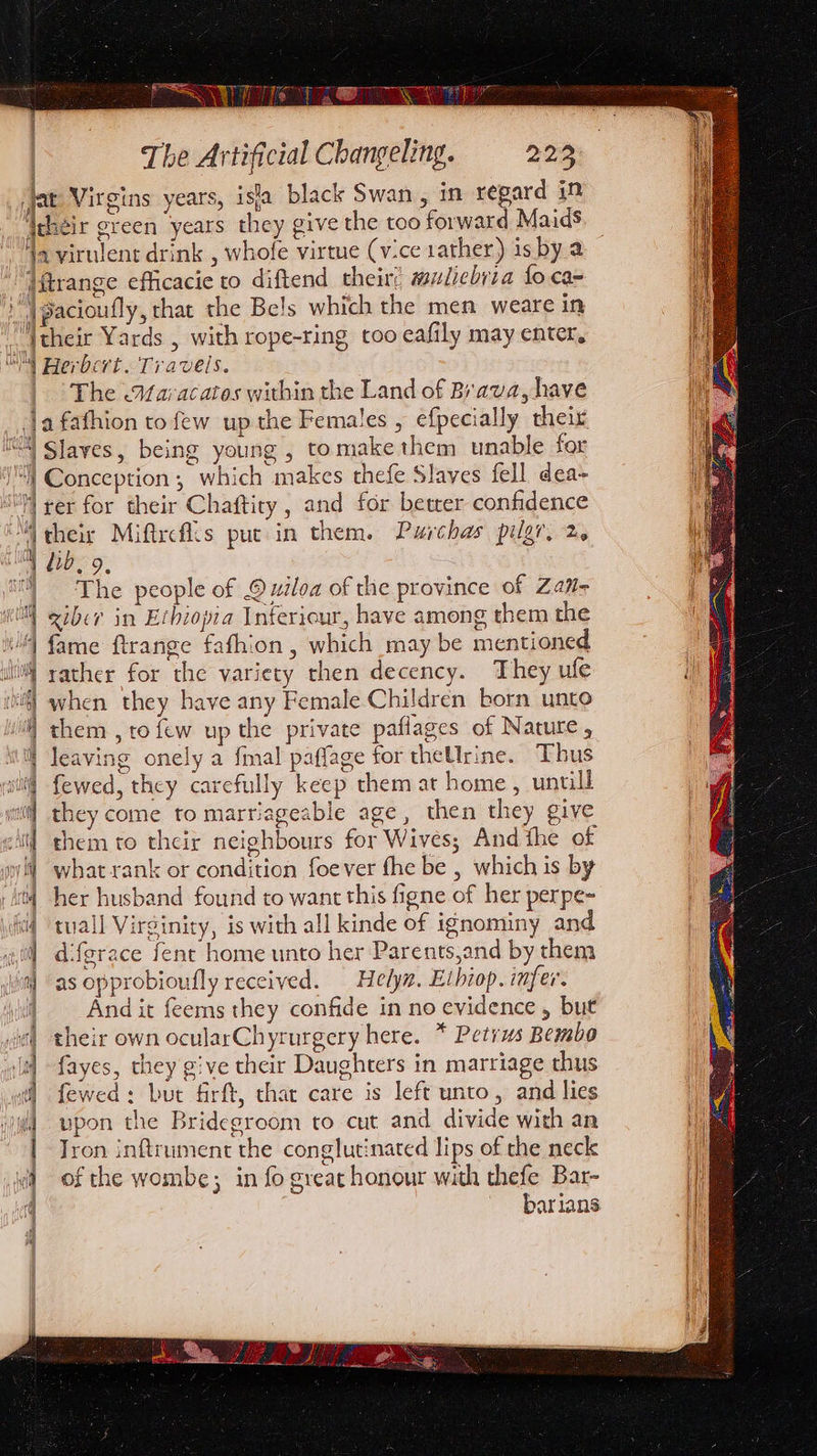 PSV es Jat Virgins years, isa black Swan, in regard in i ry Acheir green years they give the too forward Maids 4a virulent drink , whofe virtue (v:ce 1ather) is bya jitrange efficacie to diftend their: uliebita {0 cam )\ pacioufly, that the Be!s which the men weare in Vtheir Yards , with rope-ring too eafily may enter, WY Herbcrt. Travels. The .aracatos within the Land of Brava, have Ja fathion to few up the Females , efpecially their 4 Slaves, being young, tomake them unable for i] Conception ; which makes thefe Slaves fell dea- ‘tM yer for their Chaftiry, and for better confidence Mi their Miftrcflis put in them. Purchas pilgr, 2 AMM Lib, 9, ‘| The people of uiloa of the province of Zan- itll giber in Ethiopia Inferiour, have among them the WA fame ftrange fafhion, which may be mentioned itt! gather for the variety then decency. They ule | when they have any Female Children born unto i) chem , to few up the private paflages of Nature , ‘th leaving onely a fmal paffage for thellrine. Thus 4 fewed, they carefully keep them at home, untill ito] they come to marriageable age, then they give ‘tt! them to their neighbours for Wives; And the of yl] whatrank or condition foe ver fhe be , which is by M4 her husband found to want this figne of her perpe- \iod tual Virginity, is with all kinde of ignominy and i) dfgrace fent home unto her Parents,and by them \)\a) as opprobioufly received. Helyn. Eihiop. infer. 4’) And it feems they confide in no evidence , but | their own ocularChyrurgery here. * Petrus Bembo fayes, they give their Daughters in marriage thus fewed: but firft, char care is left unto, and lies vpon the Bridegroom to cut and divide with an Tron inftrument the conglutinated lips of the neck of the wombe; in fo great honour with thefe Bar- q barians