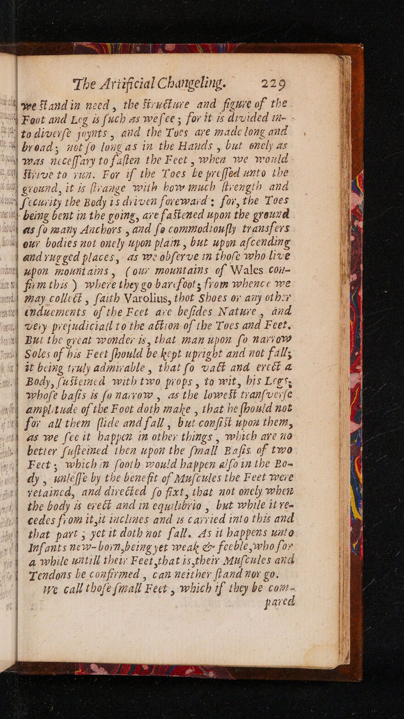 mi | firive to run. For if the Toes be preffed unto the i t dy i havall as {0 naany Anchors , and {a commodioufly transfers oui bodies not onely upon plain , but upon afcending and rugged places, as we obferve in thofe who live upon mountains, (our mountains of Wales cou- frm this ) where they go bar: foots from whence we may collect , faith Varolius, thot Shoes ov aity other cnducments of the Feet are befides Nature, and weiy prejudiciall to the attion of ibe Toes and Feet, But the great wonder ws, that man upon fo nariow Soles of his Feet fhould be kept upright and not fall; at being truly admirable , that fo vatt and ercti @ Body, (usteincd with two props , to wit, bis Lees; whofe bafis is fonarvow , asthe lowest tran(verfe amplitude of the Foot doth make , that he fhould not for allthem flide and fall, but confist upon them, as we feeit bappen in other things , which are no betier fufteined then upon the (mall Bafis. of two Fect , which in footh would happen aifoin the Bom dy , unleffe by the benefit of Mtufcules the Feet were yetaincd, and directed (0 fixt, that not oncly wher the body u erect and in equilibvio , but while it re- cedes from it,it iaclines and us carried into this and that part ; yet wt doth not fall. As it happens uato Infants new-born,being yet weak &amp; feeble, who for a while untill thew Feet that is,their Mufcules ana Tendons be confirmed , can nerther {land nor go. we call thofe {mall Feet, which if they be com- pared