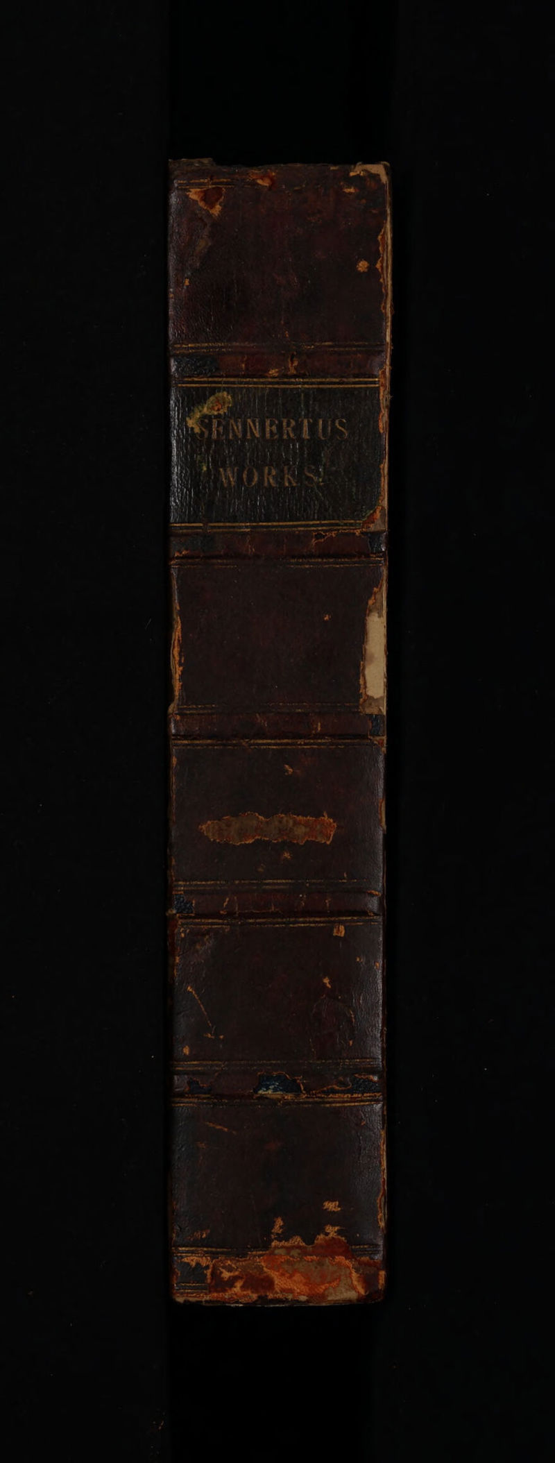 No text description is available for this image