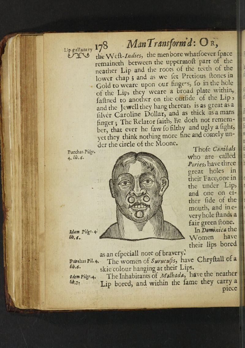 Lip ■ gallantry Parchas Pi/gv. 4-4 lib. 4 • Jd&amp;m Pilg?' V lib. f. PUTehas Pil. 4-. l\b&lt;6&gt; Jiem Pilir&lt;4, fob,?* xyS MattTirmform’d: O r, the Weft-ZW/^, the men bore whatfoever fpace remaincth between the uppermoft part of the ncather Lip and the roots of the teeth of the lower chap 5 and as we fet Pretious hones in Gold to weare upon our fingers, io in the hole of the Lip3 they weare a broad plate within, fahned to another on tue outfide ot tn»~ Lip 3 and the Jewell they hang thereat3 is as great as a filver Caroline Dollar, and as thick as a mans £nger; The Relator faith, he doth not remem¬ ber, that ever he faw fo filthy and ugly a fight, yet they think nothing more fine and comely un¬ der the circle of the Moone* Thofe Ctmbds who are called PovieSi have three great holes in their Lace,one in the under Lip&gt; and one on ei¬ ther fide of the mouth, and ine- veryhole hands a fair green ftone. In Dominic a the Women have their lips bored as an efpeciall note of bravery? f The women of SurucufiSy have Chryftall oi a skie colour hanging at their Lips. The Inhabitants of MAlbada, have the neather Lip bored, and within the fame they carry a • T j piece