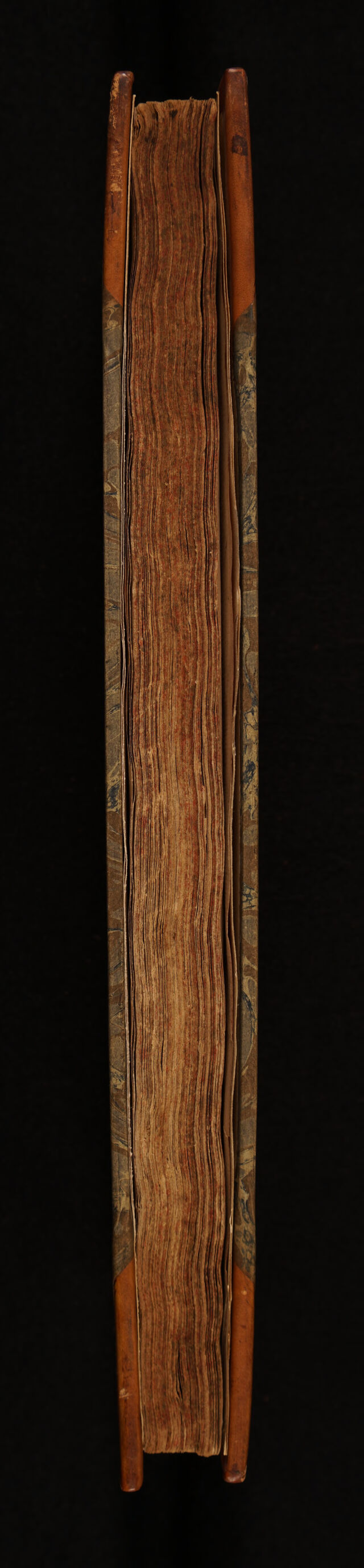 No text description is available for this image