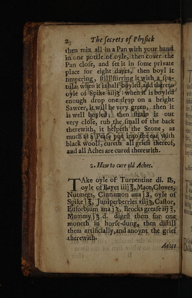 then mix. all-in.a Pan with your hand place for eight.dayes, then boyl it timpering , ftillfftirring it with a fpa- * ¥ tula; when it ishalf-boyled,add thereto” and all Aches are cured therewith. 2. How to cure old Aches. them artificially,and anoynt, the grick therewith. | |