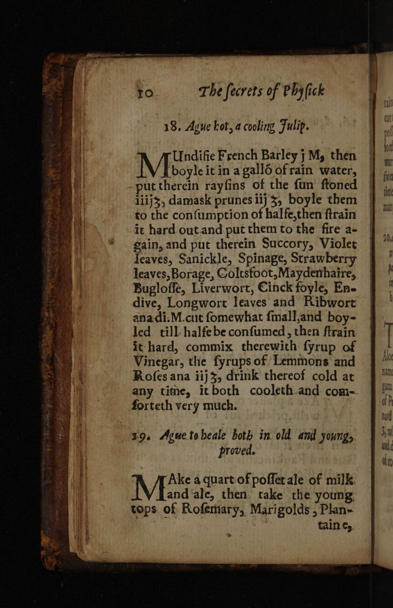 18, Ague hot, 4 cooling Fulip. Mire French Barley j M, then boyle it in a gall6 of rain water, put therein rayfins of the fun ftoned 1iij3, damask prunes iij 3, boyle them to the confumption of halfe,then ftrain it hard out.and put them to the fire a- gain, and put therein Succory, Violet eaves, Sanickle, Spinage, Strawberry leaves, Borage, Coltsfoot,Maydenhaire, Bugloffe, Liverwort, Cinck foyle, Ene dive, Longwort leaves and Ribwort anadi.:M.cut fomewhat fmall,and boy- led till. halfebe confumed, then ftrain it hard, commix therewith fyrup of Vinegar, the fyrups of. Lemmons and Rofes ana iij%, drink thereof cold at any time, itboth cooleth.and com- forteth very much. 19. Aguetobeale both in old and young, proved. Ake a quart of poffet ale of milk. and ale, then. take the young tops of Rofemary, Marigolds, Plane tain €»,