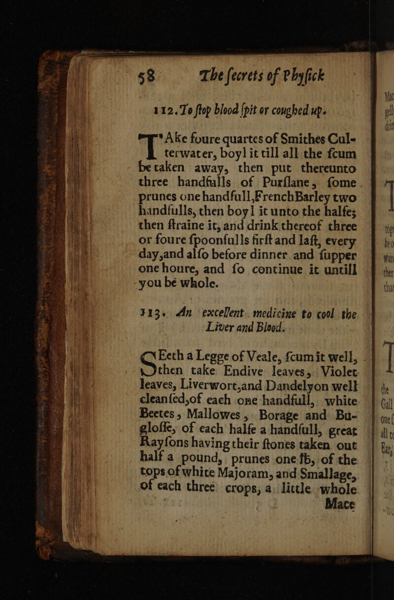 112. To ftop blood [pit or coughed up. *Ake foure quartes of Smithes Cul- T terwater, boy] it till all the fcum becaken away, then put thereunto three handfulls of Purflane, fome prunes one handfull,frenchBarley two handfulls, then boy! it unto the halfes then ftraine it, and drink thereof three or foure {poonful|s firft and laft, every day,and alfo before dinner and fupper onehoure, and fo continue it untill you bé whole. 413. An excelent. medicine to cool the Liver and Blood. Eeth a Legge of Veale, {cum it well, Sithen take Endive leaves, Violet: leaves, Liverwort,and Dandelyon well cleanfed,of each one handfull, white Beetes, Mallowes, Borage and Bu- glofie, of each halfe a handfull, great Rayfons having their ftones taken. out half a pound, prunes one{b, of the tops of white Majoram, and Smallage, of each three crops, a) little whole Mace