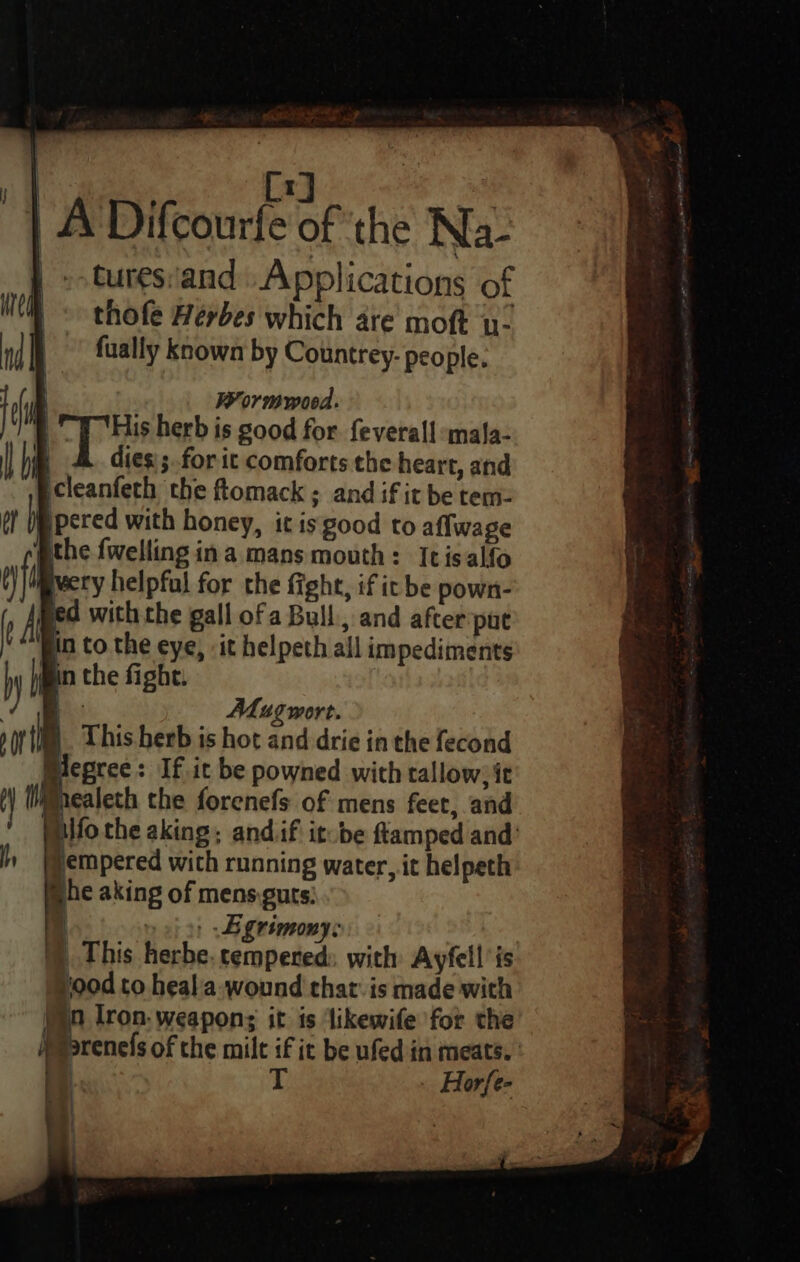 7 ES Bae i OF al | A Difcourfe of the Na: | -turesand Applications of Ch thofe Hérbes which are moft u- nd | | fually known by Countrey- people. : Wormwood. th | Se herb is good for. feverall smala- |} hie A diess.for ic comforts the heart, and icleanfeth the ftomack ; and if it be tem- ef pered with honey, it is good to affwage ithe {welling ina. mans mouth: Itisalfo we wery helpful for the fight, if it be pown- ed with the gall ofa Bull, and after pat ( i n to the eye, it helpeth ail impediments j hi n the fight. =&gt; Al ugwort. it Biegree: If it be powned with rallow;it ty (M@nealeth the forenefs of mens feet, and ilfothe aking; and.if it.be amped and: Ih empered with running water, it helpeth @he aking of mensguts: | » ofa) -Bgrimony: ) This herbe. tempered: with Ayfell’is yood to heala-wound that. is made with [a Iron. weapons it is likewife for the j Dench of the milt if it be ufed in meats. ' | T Horfe- This herb is hot and drie inthe fecond rk e| |