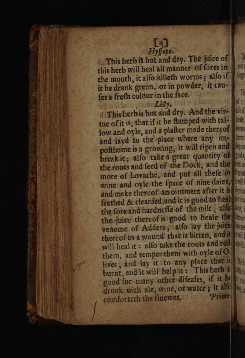 Hy ffope. This hetb # hot and dey. The juice of 9 this herb will heal allmanner6f fores in fj the mouth, it alfo:killeth worms ; alfo if # hg it be drank green,.or in powder, it cau- fes a freth colour in the face. i bets tee yy “ Thisherbis howand dry. And the vir | tue of it is; that if it be ftamped with tal- low and oyle, and 4 plafter made thereof and tayd'to the place where ahy -1m- pofthunie isa growing, it will ripen and che roots and feed of the Dock, and the more of Lovache,° and put all chefe lin winerand oylethe fpace of nine dates; piu dnd rake thereofsan ointment after it if} feethed &amp; cleanfedjandit is good to heal she foreand hardneffelof the milt; alfe the juice’ chereof isi good to heale theftin; venome of Adders;i alfo lay the juiceg! will heal it: alfo takethe roots and rofl Jays) them, and temperthem’ with oyle of 0.9 lives, and lay it 7to any place chat! 19/9 Ih burnt, and it will ‘helplic: = This herb ii! Biis) good for many other difeafes, if it Ded », Seunk with ale, wine, of'water sit alle te comforteth the finewes, Pride |