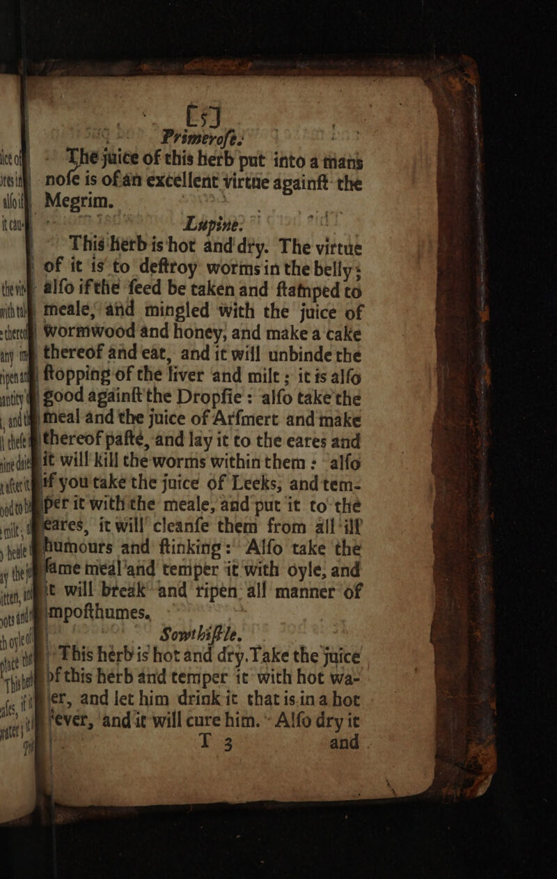 ce CsJ ) ie Primerofe. Ae: on juice of this herb put into a tans nofe is ofan excellent virtue apainft- the i) Megrim. ieaaroee } } | * | Lupine. ° | This'herbis hot and‘dty. The virtue | of it is’ to deftroy wormsin the belly: it alfo ifthe feed be taken and ftatnped to p mneale; and mingled with the juice of here) Wormwood and honey; and make a ‘cake ity of thereof and eat, and it will unbinde the # topping of the liver and mile; itis alfo untty Zood apainkt'the Dropfie : alfo take'the - aad) Meal and the juice of Arfmert and make \ het thereof pafté, and lay it to the eares and jedi tt Will Kill the worms within them : -alfo ateitiif you'take the juice of Leeks; andtem- iwlimPer it with the meale, and put it to the it. @eeares, it will’ cleanfe them from all-if humours and ftinking:' Alfo take the fame medl'arid temper it ‘with oyle, and Bit will break and ripen: al! manner of \@e mpofthumes. ef (GLORIES mu | This herb is hot and dry. Take the juice uid pf this herb and temper ic with hot wa- i er, and iet him drinkit that is.ina hot &gt; om Fever, andit will cure him. « Alfo dry it te st ' T 3 and: tilt 8 =—