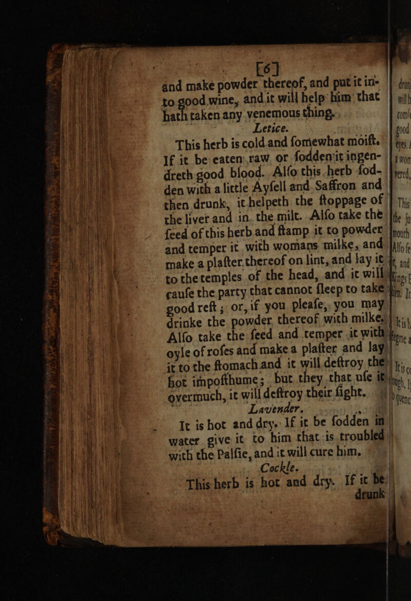 ~~ Dat Ay - ate ee amare _ ais pe ee ee ia ie i ; : - } ) if | 1 wy hi t | { ' t it : i i { | ‘) iil cae y au K tt ) ha) if Hh ee a ais and make powder thereof, and putitin= ) (ni: wil hath taken any. venemous thing, © Letice. is good This herb is cold. and fomewhat moift. | g;, If it be eatemraw, or foddenitingen- ] jy, dreth: good blood. .Alfo this herb fod~ Jeri den with alittle Ayfell and. Saffron and | to thetemples of the head, and it will Mines caufe the party that cannot fleep to take}, good reft ; or, if you pleafe, you may | drinke the powder, thereof with milkey))),. Alfo take the feed and temper it with Bere, oyle of rofes and make.a platter and Jay) it to the ftomach and it will deftroy the Ihc, hot impofthume; . but, they that ufe it), 5 overmuch, it will deftroy their fight. 9 Din Lavender. a | It is hot and dry. If it be fodden im) water give it to him that is troubled |) with the Palfie, and it will cure him, Cockle. oo aw This herb is hot and dry. If it be: | drunk |