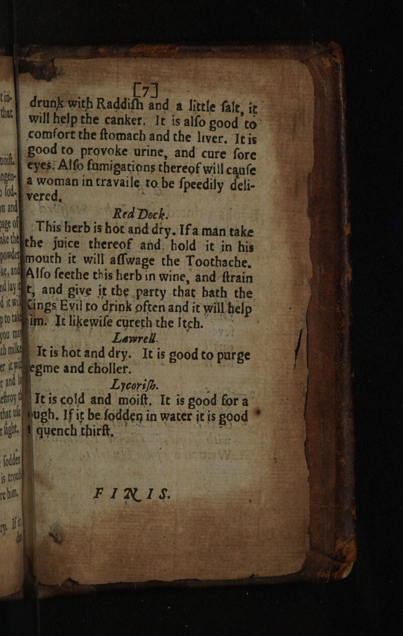 ust a. # A ere lit) drunk with Raddith and a little fale, ie Ii) will help the canker. It is alfo good to’ | comfort the ftomach and the liver. ‘It is ., } good to provoke urine, and cure fore uy eyes. Alfo fumigations thereof will caufe is} a woman in travaile. to be {peedily deli- lol vered, a mandy Red Dock. #8) This herb is hot and dry. Ifa man take althe juice thereof and, hold it in his Mbmouth it will affwage the Toothache, its IMBA Ifo feethe this herb in wine, and-ftrain thr, and give it the party that bath the ( tnliings Evil go drink often and it will help ptotiiim. Ic likewife cureth the Stch, yoo Cm Lavwrell. halt) Teishotanddry. It is good to purge Nesme and eholler. | and a _ Lycorifh. choy Te is cold and moift. It is sood for a iuohibugh, If it be fodden in water itis good * igh Sl quench thirft,