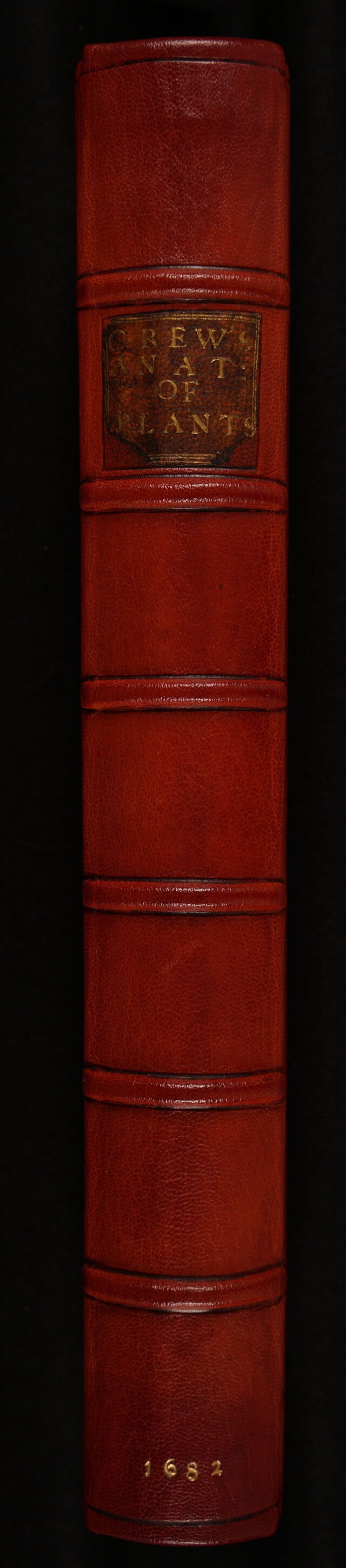 No text description is available for this image