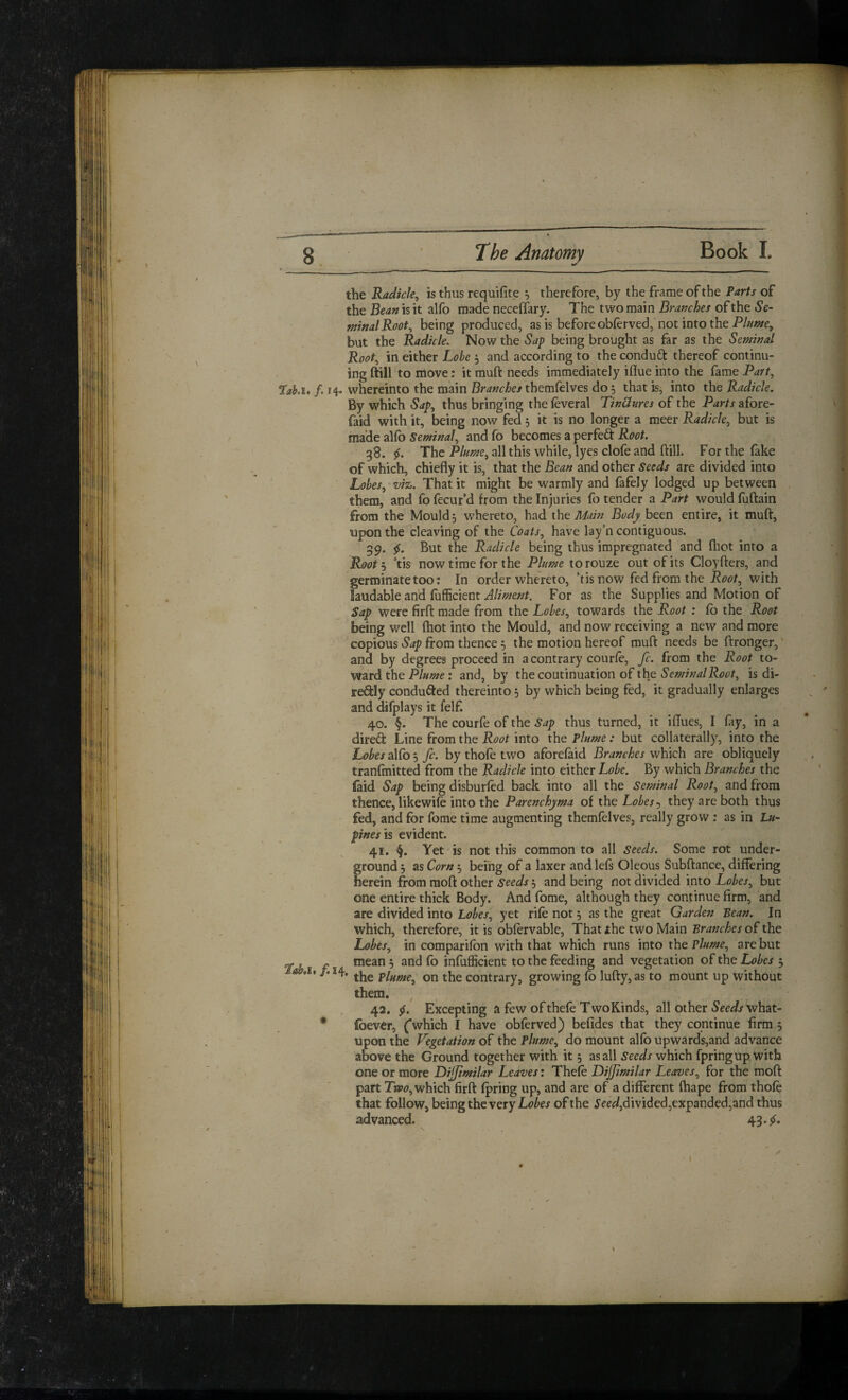 1 the Radicle, is thus requifite ^ therefore, by the frame of the Parts of the Bean is it alfo made necelfary. The two main Brafrches of the Se- mnalRoot, being produced, as is before obferved, not into the P/z/w/e, but the Radicle. Now the Sap being brought as far as the Seminal Root, in either Lobe ; and according to the conduct thereof continu¬ ing ftill to move: it muft needs immediately iflue into the fame Part, faki. /. 14. whereinto the main Branches themfelves do 5 that is, into the Radicle. By which Sap, thus bringing thefeveral Tinliures of the P^r/xafore- faid with it, being now fed 5 it is no longer a meer Radicle, but is made alfo Seminal, and fo becomes a perfeft Root. 38. The Plume, all this while, lyes clofe and ftill. For the fake of which, chiefly it is, that the Bean and other Seeds are divided into Lobes, viz. That it might be warmly and fafely lodged up between them, and fo fecur’d from the Injuries fo tender a Part would fuftain from the Mould 3 whereto, had the Main Body been entire, it muft, upon the cleaving of the Coats, have lay’n contiguous. 39. But the Radicle being thus impregnated and fliot into a Root^i Vis now time for the Plume torouze out of its Cloyfters, and germinate too: In order whereto, ’tis now fed from the with laudable and (ufEcient For as the Supplies and Motion of Sap were firft made from the Lobes, towards the Root : fb the Root being well (hot into the Mould, and now receiving a new and more copious Sap from thence 3 the motion hereof muft needs be ftronger, ‘ and by degrees proceed in a contrary courfe, fc. from the Root to- ward the Plume : and, by the continuation of the Seminal Root, is di- ffeQ:Iy conduced thereinto 3 by which being fed, it gradually enlarges and difplays it felf. 40. §. The courfe of the Sap thus turned, it iflues, I fay, in a diredt Line from the Root into the Plume: but collaterally, into the Lobes alCo fc. by thofe two aforefaid Branches which are obliquely tranfmitted from the Radicle into either Lobe. By which Bram:hes the laid Sap being disburfed back into all the Seminal Root, and from thence, likewife into the Parenchyma of the Lobesthey are both thus fed, and for fome time augmenting themfelves, really grow : as in Lu¬ pines is evident. ' ^ 41. §. Yet is not this common to all seeds. Some rot under¬ ground 3 as Corn 3 befng of a laxer and left Oleous Subftance, differing herein from moft other seeds 3 and being not divided into Lobes, but one entire thick Body. And fome, although they continue firm, and are divided into Lobes, yet rife not 3 as the great Garden Bean. In which, therefore, it is obfervable. That xhe two Main Branches of the Lobes, in comparifbn with that which runs into the Plume, are but fah f A. infufficient to the feeding and vegetation of the Lobes 3 aird, /.14. on the contrary, growing fo lufty,as to mount up without them. ^ 42. 5f. Excepting a few ofthefe Two Rinds, all other Seeds v/hat- * foever, (which I have obferved) befides that they continue firm 3 upon the Vegetation of the Plume, do mount alfo upwards,and advance above the Ground together with it 3 as all Seeds which fpringup with one or more Dijjimilar Leaves: Thefe Dijjimilar Leaves, for the moft part Tjvzz, which firft fpring up, and are of a different fhape from thofe that follow, being the very Ltz/'w of the i’eed,divided,expanded,and thus advanced. 43-5^* I
