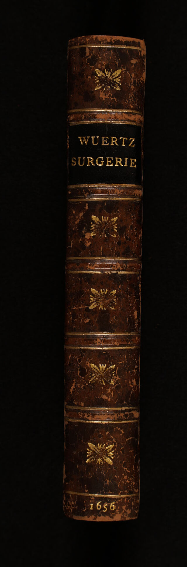 No text description is available for this image