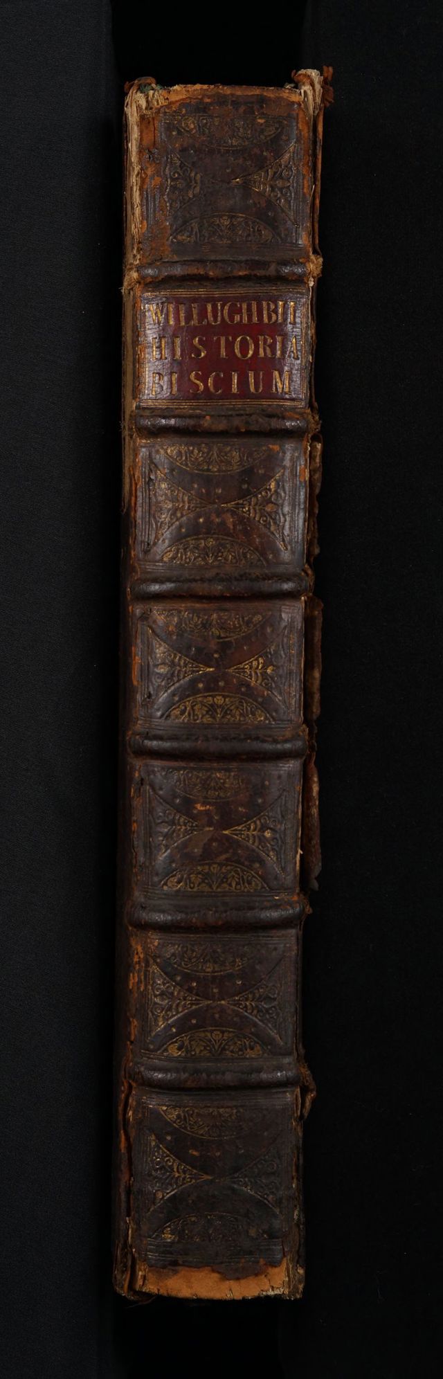 digitised image 2