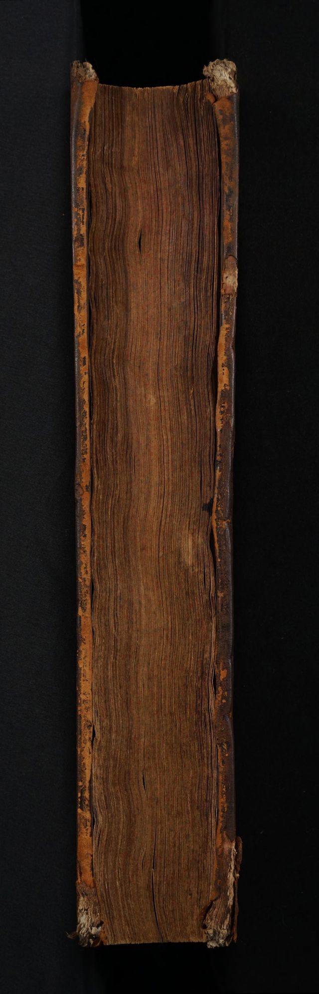 digitised image 3