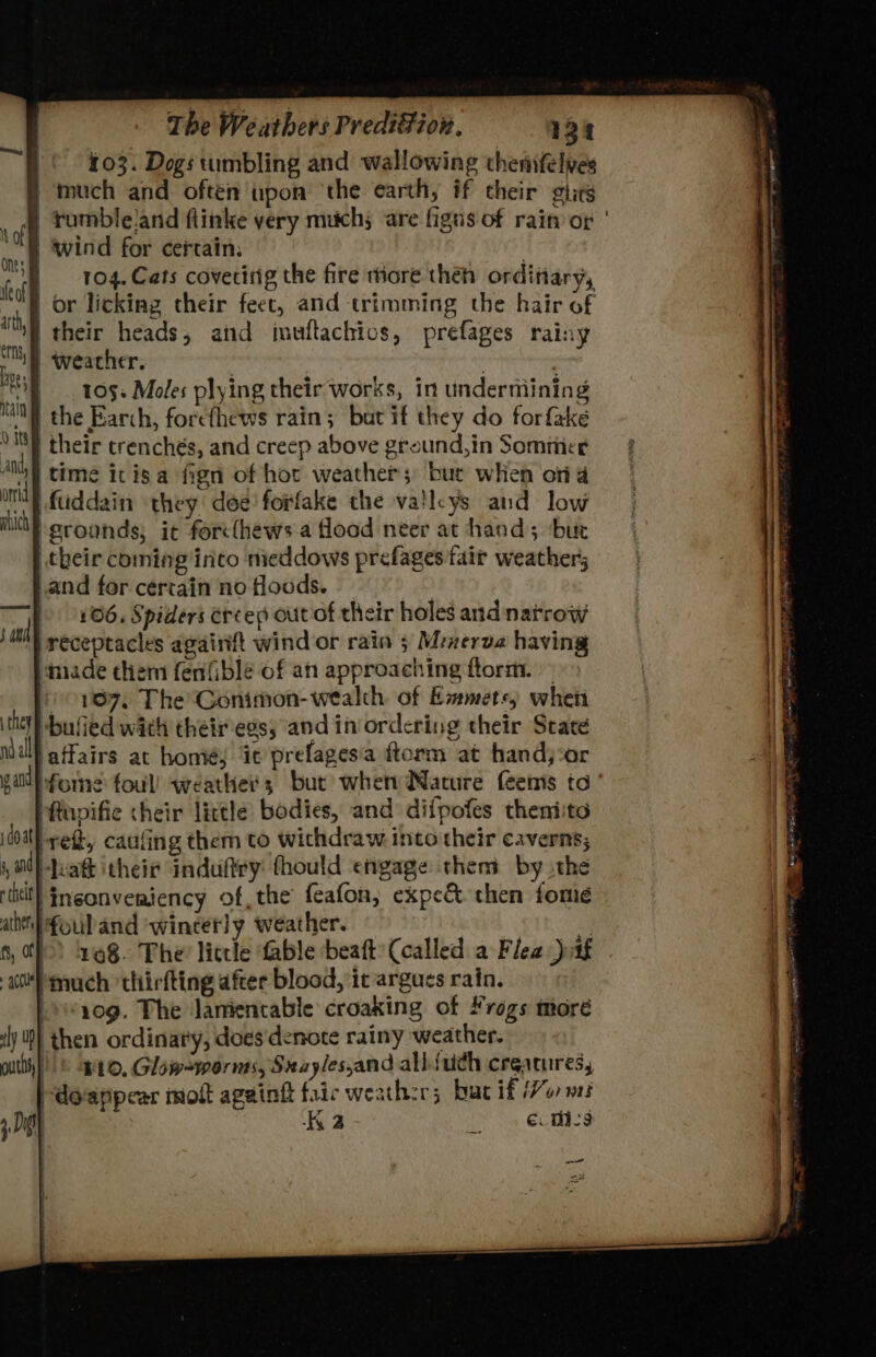 | 103. Dogs tumbling and wallowing themifelpes | much and often upon ‘the earth, if their gtits § wind for certain: : | 104. Cats covecirig the fire tiore then ordinary, | or licking their feet, and trimming the hair of their heads, and inuftachios, prefages rainy | weacher. | | . | 105. Moles plying their works, in underniining the Earch, forefhews rain; but if they do forfake | their crenchés, and creep above ground, in Somimce time itis a fign of hot weathers bue when on 4 fuddain they: doe forfake the valleys and low ‘groands, it forcthews a flood neer at hand; «but their coming into meddows prefages fair weather; and for certain no floods. | 406. Spiders ercep out of their holes and narrow receptacles againft wind or rain 5 Minerva having made chem fenfiblé of an approaching ftorm. — (00187, The Conimon-wealth. of Emmets) when -bulied with theiregs, andin ordering their State affairs at homes it prefagesia ftorm at hand) :or $ 0h they ndall gan | ftxpifie their little bodies, and difpofes theniita bref, caufing them to withdraw. into their caverns; 5 nd Hhatt their induftry fhould engage then by othe titi!) Ineonvemiency of, the feafon, expe&amp; then fomié ath) fouband ‘wincerly weather. 4 8, of) ‘298. The little fable beatt: (called a Flea tf 10 much thirfting after blood, it argues rain. ‘10g. The lamentable croaking of ¥rogs moré ily (0) then ordinary, does denote rainy weather. putt © w4O, Glow-worms, Sxayles,and all fudh creatures, /-dosppear molt ageing fair weather; bac if Horm } K2 TNs Combed i doat ~_ Cn ak seen —— ae se ; Fp ee PT Ta Me 5 ane® Sati é caries