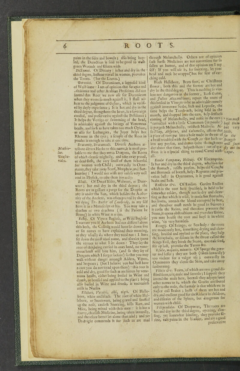 pains in the fides and bowels > alfo being boy- ledj the Dccodlion is faid to be good to Walh green Wounds and Ulcers with. Viitmni. Ol’ Dittany : is hot and dry in the \ third degree^ haftens travail in womenj provokes the Terms. (See the Leaves.) Doroniet. Of Doronicum^ a fuppofed kind ' of Wolf-bane : I am of opinion that Serapio and Avicenna and other Arabian Phyfitians did not intend that Root we now ufc for Doronicum when they wrote fo much againft it, I lhall ad- hear to the judgment of which is verifi¬ ed by dayly experience j It is hot and dry in the third degree, ffrengthens the heart, is a foveraign cordial, and prefervative againft the Peftilcnce > It helps the Vertigo or fwimming of the head, is admirable againft the bitings of Venemous bcafts, and furh as have taken too much Opium, as alfo for Lethargies, the juyee helps hot Rhewms in the eyes j a fcruplc of the Root in pouder is enough to take at one time. BracontijyDracuncitit. Diverfe Authors at- Mathio- tribute divers Herbs to this name,it is moft pro- lus. bable to me that they mean Dragons, the Roots Hiofco- of which cleanfe mightily, and take away proud, rides. or dead flefti, the very fmell of them is hurtful for women with Child ; outwardly in Oynt- ments,thcy take away Scurf, Morphew,and Sun- burning ; I would not wifla any unlcfs very well read in Phyfick, to take them inwardly. Ebuti. Of Dwarf Elder, Walwort, or Dane- wort j hot and dry in the third degree j the Roots are as gallant a purge for the Dropfie as any is under the Sun, which befides the Autho¬ rity of the Ancient, was often proved by the ne¬ ver dying Dr. Butler of Comhrick, as my felf have it in a Manufciipt ot his. You may take a drachm or two drachms (it the Patient be ftrong) in white Wine at a tim. Echij. Of Vipers Buglofs, orW’ildCuglofs: 1 warrant you if Authors had not difl'erei about this herb, the Colledg would have fet down five or fix names to have explained their meaning, as they ufually do where they need not: 1 have fet down the moft ulual name, and al waics quote the vertues to what I fet down : They fay the root of this,.being carried in ones hand, no vene¬ mous bcaft will bite him, (and fo they fay of Dragons which I forgot before) fo that you may walk without danger amongft Adders, Vipers, and Serpents j (but 1 bcleeve you had beft have a care you do not tread upon them) ■ this root is cold and dry, good for fuch as are bitten by vene¬ mous bcafts, either being boiled in Wine and drunk, or bruifed and applied to the place; being alfo boiled in Wine and drunk> it cncreafeth milkinNurfes. Ellebori, Feratri, Mi, rtim. Of Helle¬ bore, white and black. The root of white Hel¬ lebore, or Sncczwort, being grated and fnufted up the nofe, caufeth Sneezing, kills Rats, and Mice, being mixed with their meat: it is but a feurvy, chiirfiflt Medicine, being taken inwardly, and therefore better let alone than ufed J and yet T>r.Bright commends it for fuch as arc mad through Melancholly. Others are of opinion fuch harlli Medicines are not convenient for fo fallen an humor, and of that opinion am I my felf: If you will life it, for fneezing, letyour hcad and neck be wrapped'hoc for fear of cat¬ ching cold. Black Hellebore, Bcars foot, or Chriftmas flower ■, both this and the former are hot and dry in the third degree. This is nothing fo vio¬ lent nor dangerous as the former, Yioih G alert, and -'Julius Alexandrinus, report the roots of this boiled in Vinegcr to be an admirable remedy againft inveterate Scabs, Itch and Leprofie, the fame helps the Tooth-ach, being held in the mouth, and dropped into the ears, help deafnefs coming of Melancholly, and noife in the cars i a ^correded with a little Cionamon (in poudci) thert-t it purgeth Melancholly, relifteth Madnefs. Al- fo Pliny, Abfyrtus, and Co/KOTc//.'r, affirm that ,i piece of root put into a hole made in the car of y'jjj,- a bcaft troubled with the Cough,or that hath ta- firength ken any poyfon, and drawn quite through next /oc?/ day about that time, helpeththem: outofquc-^j, put in ftion itisjfpecial thing to rowel Cattel with- all. Enid^ Campante, Hclenij. Of Elecampane. Is hot and dry in the third degree, whqlfom tor the ftomach, refifts poyfon, helps old Coughs and fhortnefs of breath, helps Ruptures and pro¬ vokes luft: in Oyntments, it is good againft Scabs and Itch. Endivite &c. Of Endive. Garden Endive which is the root here fpecified, is held to be fomewhat colder, though not fo dry and clcan- fing as that which is wild, it cools hot ftomachs, hot livers, amends the blood corrupted by heat, and therefore muft needs be good in Fcavers > it cools the Reins, and therefore prevents the Stonc,it opens obftruftions and provokes Urine, you may biuife the root and boyl it in white wine, ’tis very harmlefs. Eringij' OfEringo, or Sea-holy. the roots arc moderately hot, fomething drying and clcn- fing, bruifed and applied to the place, they help the Scrophula, or difeace in the throat called the Kings Evil, they break the Stone, encreafe Iced, Itir up luft, provoke the Terms &c. EJuLe, majoris, minoris. Of Spurge the ter ar.d IclVcr; they are both (taken inwardly) too violent for a vulgar ufc S outwaidly in Oyntments they clenfc the Skin, and take away funburning. Tihcis &c. Feam,'of which are two grand di- ftinaions,z'i\.male and feemale j I fuppolc they intend the male here, becaufe they adjoyn fomc other names to it, which the Greeks attributed only to the male, the feemale is that which wc in Suljcx call Brakes ; both of them are hot and dry,and cxcllcnt good for thcRickcts in children, anddifeafes of the Spleen, but dangerous for women with child. FihpenduU. Of Dropwovt, The roots arc hot and dry in the third degree, opening, fing, yet fomewhat binding, they provoke U- rine, cafe pains in the bladder, and arc a good prefervattve