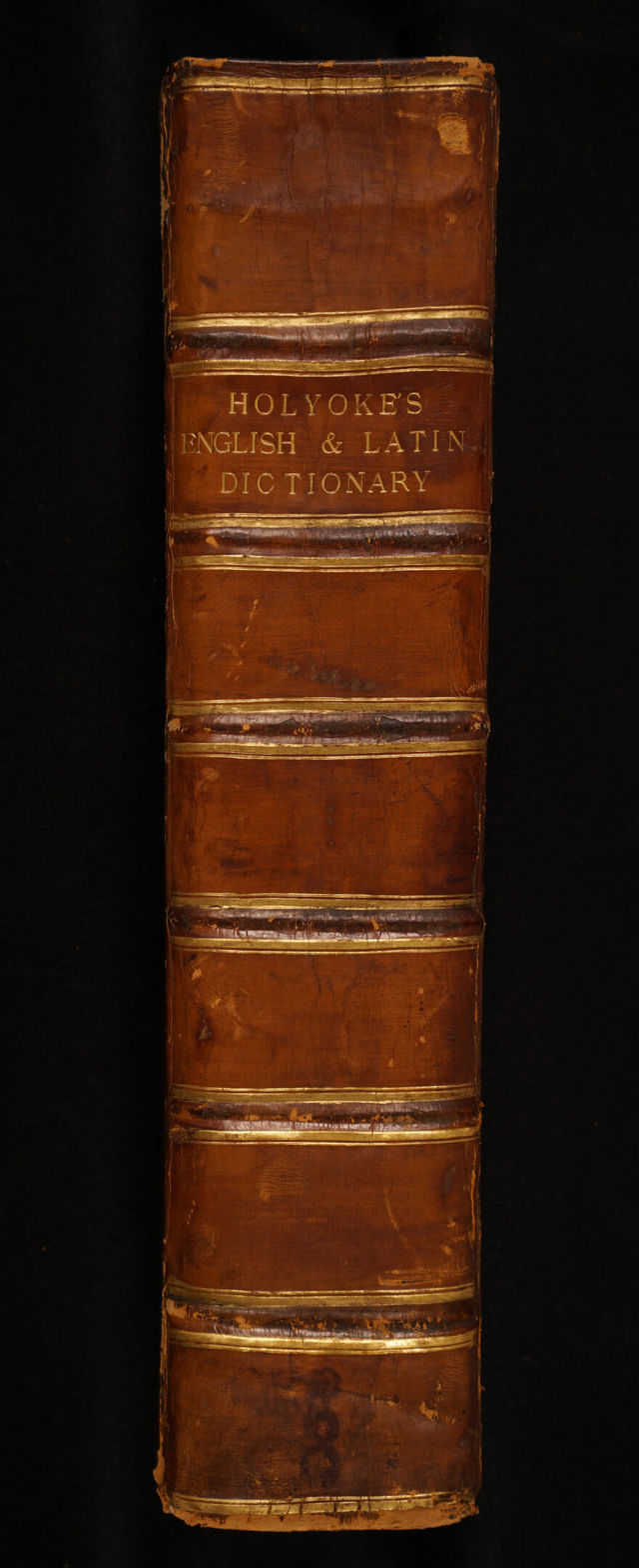digitised image 2