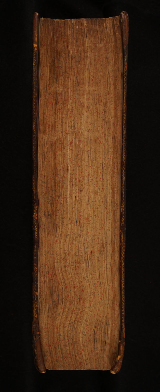 digitised image 3