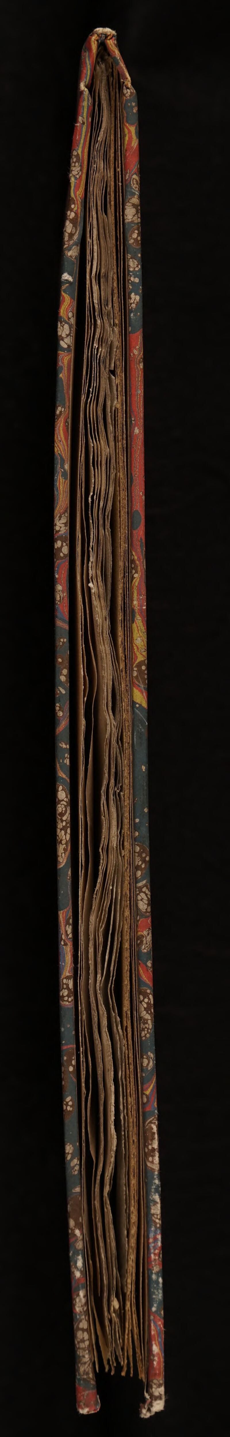 No text description is available for this image