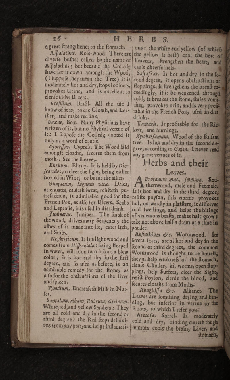 ee Br eS ne pas Maa HIRI a er a me Aspalathus, Role-wood. There are| the ycllow is beft) cool the hear of diverfe bufhes called by the name of} Feavers, firengthen the hearty andl Afpalachus ; buc becaufe rhe Coiledg | caule cheerfulne(s. | 4 have fer it down among{t the Wood,| Saffafras. Is hot arid dry in the fea (I tuppofe they mean the Tree) Iris} cond degree, it opens obftruGions orm moderately hot and dry, {tops loo(nefs, ftoppings, it firengthens the breaft CL&lt; F provokes Urine, and is excellen: to ceedingly, if ic be weakened throught” clenfe filchy O'cers. | Cold; it breakes the ftone, ftaies vomiar Brefilium. Brafil. All the ufe Ij ting, provokes urin, and is very profs — know of itis, todie Cloath,and Lea-| rable in the French Pox, uled in diepe ther, and make red Ink, | drinks. Buxus, Box. Many Phyfitians have | Tamaris. Is profitable for the Ries written of it, but no Phytical vertue of kets, and burnings. ef it: I fuppofe the Colledg quoted ic Xylobalfamum. Wood of the Balfang aa j ° i only as a word of cuurfe. tree. Is hot and dry in the fecond demu rr Cypre{]us. Cyprels. The Wood laid! gree, according to Galen: I never red ane amongit cloaths, fecures them sida any great vercues of it. . 7 | moths. See the Leaves. | . a4 Ebenum. Ebeny. Ic is held by Dio- | Herbs and their {cerides,to cleer the fight, being cither| - Leaves. ‘ boyled in Wine; or burnt the athes. | Aixteus mas, feémina. Sousa Guajacum, Lignum vite. Dries, | thernwood, male and Foemaleguaa: attenuares, caufeth {weat, refilteth pu- Te ishot and dry in the third degrees ‘ trefaction, is admirable good for the irefilts poyfon, kils worms provokesmm French Pox, as alfo for Ulcers, Scabs ilu, outwardly in plaifters, ic diffolves and Leprofic, itis ufed in diet drink. |cold {wellings, and helps the bitings i Juniperus, Juniper. The fmok of lof venemous beatts, makes hair grows 9a the wood, drives away Serpents 3 the jrake nor above half a dram ata time in afhes of ic madeintolie, cures Itch, pouder. 3. and Scabs, Abjinthium ec. Wormwood. Itsaem Nephriticum, Ic is alight wood and | (everal forts, are al hot and dry in the! comes from Hi/paniola : being fteeped | fecond or third degrees, the common 0% | ——— oe : ip\'! &gt; s ‘ mm in water, will {oon turn it into a blew | Wormwood is thought to be hottelts aim color; iris hot and dry inthe firft |they al help weakne(s of the ftomachsamml degree, and fo ufed as before, is an |clenfe Choller, kil worms, open ftops) admirable remedy for the Rone, as pings, help Surfets, cleer che Sights) alfo forthe obftiuGtions of the liver | eG Poylon, clente the blood, andy and {pleen. fecures cloaths from Moths. Rhodium, EncrealethMilkin Nur! Abygiliffa ec. Alkanete The Fy fes. Leaves are fomihing drying and bingy Santalum. album, Rubrumy, citvinum. ding, buc inferior in vertue to the White,ted,and yellow Sanders : i hey | Roots, to which I refer you. a | a ts third degree: the Red {tops defluxi- : cold and dry, binding cutteth tough | Gas from any part,and helps inflamati- humors cools the brain; Liver, and flomathy