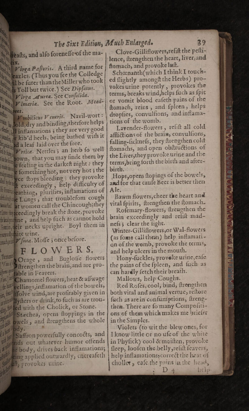 afts, and alfo foreneffe-of the ma- Clove-Gilliflowers,refift the pefti- ‘ Bx. lence, ftrengthen the heart, liver, and i gare Pafforis. Athird mame for | ftomach, and provoke luff. ty My azies. (Thus you fee the Colledge §choenanth(which I think I touck- ed flightly amongft the Herbs) pro- vokesurine potently , provokes the terms, breaks wind, helps fuch as {pit er vomit blood eafeth pains of the 'ftomach, reins , and {pleen, helps | drophies, conyulfions, and inflama- | tions of the womb. Lavender-flowers , refilt all cold affli@ions of the brain, convulfions, falling-ficknefs, they firengthen cold ftomachs, and open obftru€tions of the Liver,they provoke urine and the terms,bring forth the birth and after birth. Hops,opens ftopings of the bowels, amd for that caufe Beer is betser then Ale. Bawm flowers, cheer the heart ané hy aN Ibe furer thantheMiller who took Metis Toll but twice.) See Dipfatus. My: ‘ay V ivga urea. See Confolida. | Pia Vimaria. See the Root. AMead-| ‘thy | | Othe. , Be i fa leaf Jaid over the fore. WP rtica. Nettles; an herb fo well Bwn, that you may finde them by Be feeling in the darkeft night : they ie fomething hot, notvery hor; the led byte ° fops biceding they provoke Ib F B® exceedingly , help difficulty of Wieathing, plurifies, inflamations of alm Lungs , thar tronblefom cough Mitta, At yromen call the Chincough3they Lares hy eedingly break the ftone, provoke ¥ vital fpirits, ftrengthen the ftomach. Rofemary-flowers, ftrengthen the nefs5 clear the light. Winter-Gillifowers,or Wal-flowers (as fome callthem) help inflamati - on of the wemb, provoke the terms, and help ulcers in the mouth. Hony-fuckles, proveke urine, eafe the pains of the fpleen, and fuch as can hardly fetch their breath. Mallows, help-Coughs. Red Rofes, cool, bind, ftrenethen both vital and animal vertuc, reftore fuch as arein confuniptions, fireng- them. There are fomany Compofiti- ons of them which makes me briefer in the Simples. Violets (to wit the blew ones, for I know little or no ufe of the white in Phyfick) cool &amp; moiften, provoke fleep, loofen the.belly refit feavers, Fim, Weir necks upright. Boy] them in ounyarelyama ce Wine. ait i. mung frec. Mofle 3 once before. Tema Orace , and Buglofie fiowers vit trengthen the brain,and are pro- ble in Feavers. MPhamomel flowers, heat &amp; aflwage iMPellings,inflamation of the bowels, folye wind,are profitably given in Bfters or drink,to fuch as are trou- d with the Cholick, or Stone. BStecheai, opens ftoppings in the els, and ftrengthens the whole a Ye eb Saffron powerfully conco¢ts, and iit ids out whatever humor oftends a) ame body, drives back inflamations; al , 2 } faa 7 d a biQ aS a a j ype ~ By | A VA i VQ a | A A; 1BRY, eA ft mN Pay er Ne ay athe gale elt