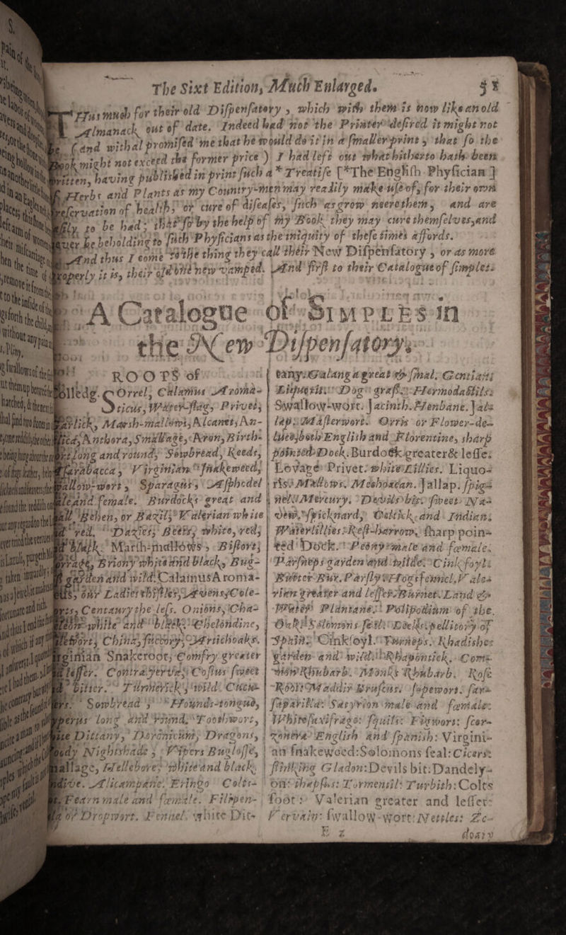 The Sixt Edition, A4uch Enlarged. 4% rus much for theirold Difpenfatery , which with them is now likeanold _ Almanack out of date. ‘Indeed had not the Priater defired it might not + (and wit thal promifed me that he mould deitin afmallerprine 5 shiek fo the n, wok might wot eyceed the for mer pr ice ) =! had left out what hitherto hath been tes. hat ving published i n print | fuch a” * yeni [e Per he Ens ohh Pj hyfic 1am | Flerbs and Plants as my Country-Men may readily mak xe ufeof; for their oman Aperction of healt th, or cure of aj feafes, fn ich a58 TOM 71603 rothem and are fly. P4;) be had: har’ {o by she help of my Boake they may curve shemfeler esjand = x Buer be belrol ding to ach Phyficians asi ermiquity of th efe fimes affords. a tnd thus T come sothe thing they cau t'their Ne WwW Difpenfa tOry , or as more Ct Th bite ery 7) amp jd ind firft fo adi Catalogue of 5 fimples ; - ra pe’ t i their of® Ih : . A é PAC aralou neO = N 4 § DNiis if the New Dy hy j = eh s ROO PS of banys Gaal ANG a gireat x ry (mal. Gentia: Pte bllede. Orrel, Calanius ATroma- } a Bite RUD Ie grape Fleywned: Shepies itt 4 theme} S5ae Wrer ff, 18 5 Privet; } Sava llow-wort:. | ac cinth.Pienbane. Vats hyo ones ar! lich , Marsh-mallsms, AlcanetsAn- lap: Wa 4flerworé. OFT oF Floniey= dé- OMe edhe ner ficd; Nae hora, Smaage, Avon, Birth | Lipes. both Eng lithand Florentine, sharp igh that ft Long and round, Sombrend, Keeds, | Potnved Dock. Burdotk greater&amp; ledfe: ane hin erase V irginsan faukewted; | Le vape “A pra: white Lillies. Liquo- edhe 222 22&gt; W075 - Aa ak cA fphedel } ris ee found the rd dicho leand Female. Burdocks great and | ie Mey cury. “Debit bis five uray alto 2 then, or Baril, Ke dlerian iaee| dew Ypicknardy Celtich enol | f ved, “Darzi OSs wie WIWE, VER; | Water lillies: Re Viawivoien . Le ack. Martth:melle ows &gt; Bipiors} pad | Dock. Pebapimale and fa rmate nt | | ee Briony whitennd Ulack ty Busg- Pp Pr fnep s envden ane iil Cin! gayden atid pid CalainusA ronia- | Rafter Ruy. Par flyer Tocst enue! - V ales ‘2 bar Ladierth ble, VA ensyCole- | vlan greater and / feign oi ui neg j Py as j é a Centaury the lefs. O n10ns, Ch an | Prater grids videx Prlip ainm of the. Deir «eh fly BRE. 'eelindin e oe lon i sel fe 1/2 Deel: est pellir 0 iy ar ; c© yh. Perneps. Se saa shes yinian Snake Gade! “Cont vy grexter rden an ns pies py oF 296 ntlE} f j a omc btefftr. Contra. yertias) Co ofits fi eee | Hs Ww RGnbark 8. idee. ‘ sid aves Rofe ~ bitte ve Turmeric RY hl Cucie iM addy yY a3 piatcus, fapemors. (ety | Sombrezd | LON SHE, | ap Avibla’ Signet ale ana faint dlie Mperps lone ana round, T 00 bite rrs Phitelanifi VE. fouils: Fiswors: (cor e Dittany » Dorcarcun, Dragens, Seabee Eaclish and foxaiih: Viroini- dy Ni igh it sh ade 5 Vipers Busloffe, | aw fnakeweed:Solo mons (eal: Cicers: Baits: Fedele ore; wiiteand black. | finking Gladon:D evils bit: Dandel ave. 2 Al iam; phi Fringo | ’ , Sred/nmale a 1! fois tle, f il) pie i}~