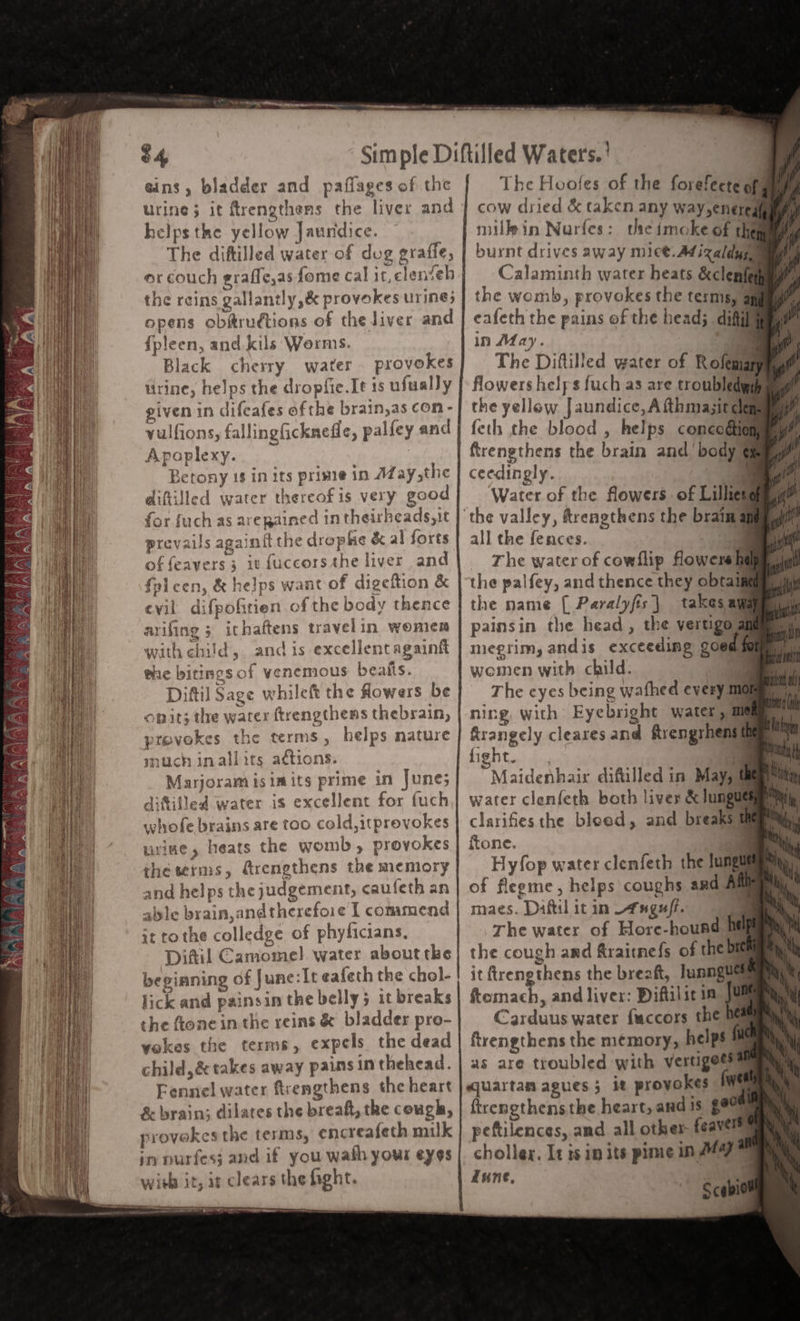 o4 eins, bladder and paflages of the urine; it ftrengthens the liver and helps the yellow Jaundice. The diftilled water of dog grafle, er couch graffe,as fome cal it,clenieb the reins gallantly ,&amp; provokes uring; opens obitrudtions of the liver and {pleen, and kils Worms. Black cherry water. provokes tirine, helps the dropfie.It is ufually given in difeafes ofthe brain,as con - vulfions, fallingficknefle, palfey and Apoplexy. | Betony 18 in its prime in AZay,the diftilled water thereof is very good prevails again{t the drophe &amp; al forts of feavers 3 it fuccorsthe liver and fpleen, &amp; helps wancof digeftion &amp; evil difpofitien of the body thence arifing 3 ichaftens travelin women with child, and is excellentagainft ie bitings of venemous beaits. Diftil Sage whileft the fowers be onit; the water ftrengthens thebrain, provokes the terms, helps nature much inallits actions. Marjoram isimits prime in June; diftilied water is excellent for fuch whofe brains are too cold,itprevokes urine, heats the womb, provokes theserms, frenethens the memory and helps the judgement, caufeth an alyle brain,andtherefoie I commend it tothe colledge of phyficians, Distil Camome! water about tke beginning of June:It eafeth the chol- lick and painsin the belly 5 it breaks the ftonein the reins &amp; bladder pro- vokes the terms, expels the dead child, &amp; takes away pains in thehead. Fennel water firengthens the heart &amp; brain; dilares the breaft, the cougla, provokes the terms, encreafeth milk in purfes; and if you wath your eyes witb it, it clears the hight. the womb, provokes the terms, g eafeth the pains of the head; dif in May ‘ ) 5 The Diftilled water of Rolegiam flowers helps fuch as are troubledwey the yellow Jaundice, A fthmasitd 1 | feth the blood , helps conecodtion ftrengthens the brain and’ body ¢ ceedingly. . £ Water of the flowers of Lilliesomnaum all the fences. ) The water of cowflip flowersht the palfey, and thence they obtain the name { Paralyfis| takes am painsin the head, the vertigo amily, megrim, and is exceeding goed fe ofa wemen with child. — The eyes being wafhed every me an ning with Eyebright water, migaie © firangely cleares and frengrhens® fight...: i... a Maidenhais diftilled in May; i water clenfeth both liver &amp; Jungue clarifies the bleed, and breaks @ ftone. an Hyfop water clenfeth the lunge of fleeme, helps coughs and ARIAS maes. Daftil it in -fuguff. hs, The water of Hore-hound DORRIT the cough and fraitnefs of the bie | it ftrenethens the breaft, lunngue fomah, and liver: Diftilit ia j@ Carduus water faccors the 0 flrengthens the memory, helps # as are troubled with vertigoes™ qjuartam agues; it provokes We ftrengthens the heart, and is ge0@ peftilences, and all other feavé chollex. Is is in its pime in A447 * inne, Pe Scebit y i hy uy {