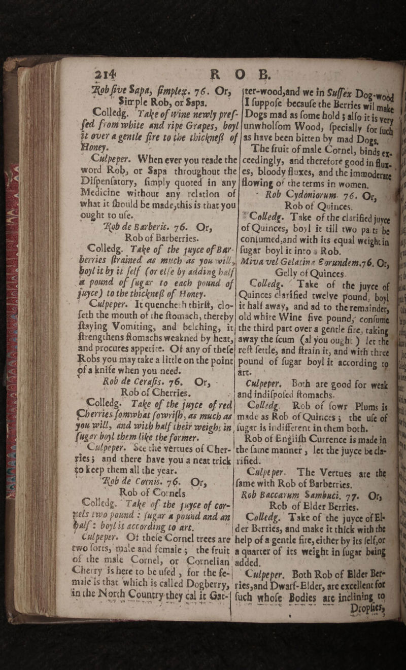 Rob five Sapa, fimplez. 76. Or, jtet-wood,and we in Suffex Dog-wood '.  $irple Rob, or Sapa. ' | fuppofe becaufe the Berries wil make Colledg. “Take of wine newly pref- | Dogs mad as fome hold 5 allo itis yer fed from white and ripe Grapes, boyl|unwholfom Wood, {pecially ot over a gentle fire to the thickne® of |as have been bitten by mad Dogs, | | The fruit of male Cornel, binds ¢X- Honey. word Rob, or Sapa throughout the/es, bloody fluxes, Dilpenfatory, fimply quoted in any | flowing of che terms in women, Medicine withour any relstion of Rob Cydoniorum. 76. Or, 4 what it foould be made,this is that you Rob of Quinces. ought toufe. =~ “Colledge. Take of the clarified juyce Kab de Barbervis. 76. Or, of Quinces, boyl it till two Paits be Rob of Barberries. coniumed,and with its equal weight in Colledg. Take of the suyce of Bar-| {ugar boyl it into 4 Rob. | berries ftrained as much as you will,, Miva vel Gelatinez Fovrundem.76, Or, boyl it by zt felf (or elfe by adding half Gelly of Quinces. a pound of fugar to each pound of| Colledg. “ Take of the juyce of juyce) tothe thickne® of Honey. ~ Culpeper. Ic quenche:h thirft, clo-|irhalf away, and ad to the remainder, feth the mouth of the ftomach, thereby| old white Wine five pounds confume Rtaying Vomiting, and belching, it| the third parc over a gentle fire, taking and procures appetite. Of any of thefe! reft fettle, and ftrain it, and with three Robs you may take a little on the point) pound of fugar boyl it according to of a knife when you need. oe aie : Rob de Cerafis. 76. Or, - Culpeper. Both are good for weak ~ - Rob of Cherries. -} and indifpoled ftomachs. ‘| ee Colledg. Take of the juyce of red| Colledg. Reb of fowr Plums is” Cherries fomwbat fowri[b, as much as, made as Rob of Quinces ; the ule of you will, and with balf iheir weigh: in iugar is indifferent in them both. ~ (ugar boyl them like the former. | Rob of Engiifh Currence is made in _ Culpeper. See the vertues of Cher- 'the fame manner , let the juyce be cla- ties; and there have you a neat trick rified. tokeepthemallthe year, =’ | Culpeper. The Vertues are the Xob de Corns. 76. Or, fame with Rob of Barberries. ~~ Rob of Cornels Rob Baccavum Sambuci. 77. Or, Colledg. Take of the yuyce of cor-| Rob of Elder Berries. wels two pound : (ugar a pound and an| Colledg. Take of the juyce of El half: boylit according to art. {der Berries, and make it thick with the «Culpeper. Ot thele Cornel trees are hel p of a genele fire, either by its felf,or two forts, mate and female; | the fruit a quarter of its weight in fugar being q° § of the maie Cornel, or Cornelian’ added. | Cherry ishere to beufed , for the fe-| Culpeper. Both Rob of Blder Bets male is that which is called Dogberry, riesand Dwarf-Elder, are excellent fot fu are inclining 0 ~~ Dropliss ei | 4