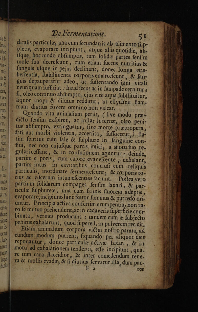 dicalis particule, una cum fecundariis ab alimento fup- pleus, evaporare incipiunt; atque aliis quotidie, àli- ifque, hoc modo abfumptis, tum folid partes fenfim mole fua decrefcunt , tum etiam fuccus nutritius &amp; fanguis ufque in pejus declinant, donec longa inta- befcentia, ftabilimenta corporis emarcefcunt, &amp; fan- guis depauperatur adeo, ut. fuflentando igni vitali neutiquam fufficiat : haud fecus ac in lampade cernitur ; fi, oleo continuo abfümpto, ejus vice aqua fubftituitur, Liquor inops &amp; dilutus redditur, ut ellychnii flam- mam diutius fovere omnino non valeat, | Quando vita animalium periit, ( five modo prie iilii &amp;re | dicte enl Qcufi tus abfumpto, extinguatur; five morte prapropera ; fati aut morbi. violentia, accerfita, fuffocetur,). fla- tim fpiritus cum fale &amp; fulphure in. fanguine con- flu, nec non cujufque partis infiti, a motu fuo re. gulariceffant, &amp; in confufionem aguntur: deinde, parnm intus in cavitatibus conclufi cum reliquis parüculis, inordinate fermentefcunt; &amp; corporis to- tius ac vifcerum intumefcentias faciunt. |. Poflea vero paruum folidarum compages fenfim laxari, &amp; par- ticule fulphurex, una cum. falinis fluorem. adeptis , evaporare,incipiunt;hinc feetor fummus &amp; putredo ori- untur. Principia activa confertim erumpentia, non ra» ro fe mutuo prehendunt;ac in cadaveris fuperficie com- binata, vermes producunt ; tandem cum e fubjecto penitus exhalarunt, quod fupereft, in pulverem recidit. Euam animalium corpora victui noflro parata, ad eundum. modum : putrenr, fiquando: per aliquor dies reponantur, donec particule active laxari, &amp; in motu ad exhalationem tendenti, effe incipiunt ; qua. re tum caro flaccidior, &amp; inter comedendum tene. ra &amp; mollis evadit; &amp; fi diutius fervatur ila, dum par- | be tes * LI * ii aquest E ——«