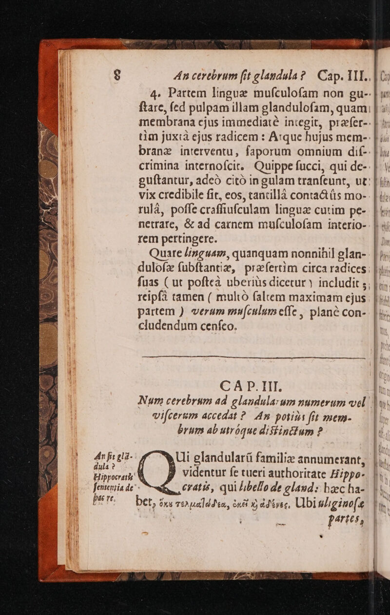 An cerebrum fit elagdula ? | Cap. TIL.. | Co 4. Partem lingue mufculofam non gu--| wu ftare, fed pulpam illam glandulofam, quami; | : membrana cjus immediaté integit, praefer-- | ir tim juxta ejus radicem : Atque hujus mem- | i; Ti brane interventu, faporum omnium dif-: | lii B crimina internofcit, Quippe fucci, qui de-: | s; n guftantur, adcó citó in gulam tranfeunr, ut: | jjj | vix credibile fit, eos, tancilláà conta&tüs mo- | ij; rulá, poffe craffiufculam lingua cutim pe- | &« netrare, & ad carnem mufculofam interio- rem pertingere. Quare //nguam, quanquam nonnihil glan- dulofz fubftantie, praefertim circa radices: |j; fuas ( ut pofteà uberius dicetur y includit s; | is. reipfà tamen ( mulió faltem maximam ejus | | jj partem ) verum mtufculum eífe , plané con-. | ji. cludendum cenfco. | L ) ei V WU glandularü familiz annumerant, |, Hiporny M, — p videntur fe tueri authoritate Hippo- |i. poo fenenia de: S eratis, qui libello de glaud: hecha- | Jh pere bet, $xe TO ual dde, Gn X did épee, Ubi niiginmo(e | Iv, Won fre ela- dua? — 2 13 Wr ; pertes, D€-—— i p * |: