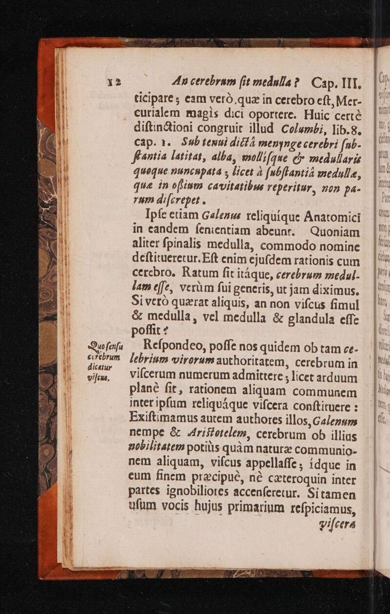 Quo fenfu ecrebrum dicatur vifus, 4n cerebram (it medulla? | Cap. III. ticipare; eam veró quz in cerebro eft, Mer- curialem magis dici oportere. Huic certé diftinctioni congruit illud ColvmLi, lib.g, cap. 1. Sub tenui dici menynge cerebri fnb- ffantia latitat, alba, mollifque c medullaris queque nuncspata s licet à (ubfTanti medulla, que in offium cavitatibus reperitur, non pa- rum di[crepet . Ipfe etiam Ga/enus reliquíque Anatomici in candem íenientiam abeunt. — Quoniam aliter fpinalis medulla, commodo nomine deftitueretur. Eft enim ejufdem rationis cum cerebro. Ratum fit itáque, cerebrum medul- lam effe, verüm fui generis, ut jarn diximus. Si veró quaerat aliquis, an non vifcus fimul &amp; medulla, vel medulla &amp; glandula effe poffit ? Refpondeo, poffe nos quidem ob tam ce- lebrinm virorum authoritatem, cerebrum in vifcerum numerum admittere ; licet arduum plané fit, rationem aliquam communem intet ipfum reliquáque vifcera conftituere : Exiftimamus autem authores illos, GaJezsps nempe &amp; ris£etelem, cerebrum ob illius nobilitatem potis quàm nature communio- nem aliquam, vifcus appellaffe; ídquc in eum finem precipue, né ceteroquin inter partes ignobiliores accen(íeretur. Sitamen ufüm vocis hujus primarium refpiciamus, vifcera