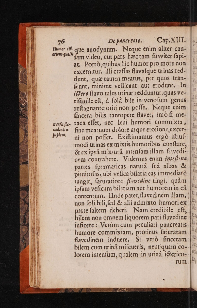 26 vedinis e- jufden. Depancrtate, — Cap. XIII. at. Porró,quibus hic humor pro more non excernitur, illi craffas llavafque urinas red- dunt, qui tamcn meatus, pcr quos tran- fcunt, minime vellicant aut erodunt. in iclero flavo tales urine 1edduntur,quas ve- rifimile e(t, à folà bile in venoíum genus. reftagnante oriri non poffe, Neque enim fincera bilis tantopere flavet; imó fi me- raca effet, nec leni humori commixta , fine meatuum dolore atque etofione,excer- ni non poffer.. Exiftimamus ergó iftiuf- modi urinas ex mixtis bumoribus conftare,, &amp;exipsá mxiurá inrcn(am illam flavedi- nem contrahere. Videmus enim inteffipai partes. fpermaticas naturà fui albas &amp; piuitofas; ubi vefica bilaria eas immediaré: rangit, faturatiore. flavedine tingi, quàm. ipfam veficam bilariam aut humorem in cà. contentum. Llade patet, flavedinem illam, ; non foli bili,íed &amp; alii admixto humori ex: parte faltem deberi, Nam credibile eft, bilem non omnem liquorem pari flavedine: inficere: Verüim cum peculiari pancreatis: humore commixtam, protinus faruratami flavediném induere, Si veró finceram, bilem cum uriná miícueris, neutquam co-: lorem intenfüm, qualem in uriná i&amp;terico-: rum lI— -——— i — -- - E ES 0 T» — 4 m ——E—— — —H&amp;—À—- .— MM — A 2 MM m e e ag m - - m x  - inq u— -— Re m PR s a He ceo omes eccesso — a -- c —— —— * 7— 2 - E - € A z L—FüU 1 — E