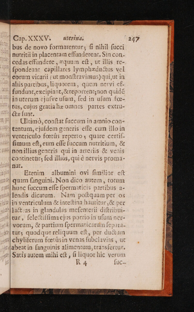 e n^ E ^ d Xx $0235 Á un ? 8&amp;6 14 I CP i p l |a uw ^4 hu uu Ra w«- q^ k. * he m EI sa - t a autem, totum diss VC d. e db sl ^ rud * ie £» yt f e undere , equum Oo (ta albu 31. Non di uinis al guiat à nini OV [] fü im: T r! U1er1na, CY | bus de novo formarentu: ? L1. AU Ain e de E E £314 £)HT 5 . * »1, placen i ; A no dau cenim (^ 'atia fan: iu | abe '|Sat fan XXXV. iin e i quo 0o ..^ . L P» i u e $5 autem mii e | E m 4^] qua: tüts p | nutri | cedas ef d 1 : Ca | '] | | | | |) il MP