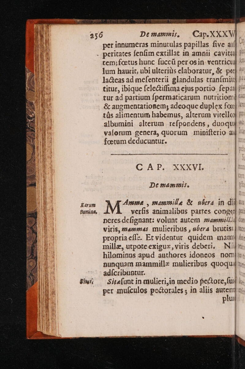 Earum 003148, Situ Demammis, — Cap.XXXW]. per innumeras minutulas papillas five aif] ' tem;foetus hunc fuccü per osin- ventricu] lum haurit, ubi ulterius elaboratur, &amp; p«t] ^ lacteas ad mefenterii glandulas tranfmiii] /^ titur, ibique fele&amp;tiffima ejus portio. fepzi| i/ tur ad partium fpermaticarum nutrition '4 &amp; augmentationem; adeoque duplex foe] ^ tüs alimentum habemus, alterum vitellc)] ) albumini alterum refpondens , duoqui valorum genera, quorum minifterio ax '/ foetum deducuntur. |i C A P. XXXVI. , | | | De mainmis. |o M^ ,muammile &amp; ubera in dii verfis animalibus partes congtd neresdefignant: volunt autem memi vitis, zammas mulieribus , «era brutis: | ux propriaeffz. Et videatur quidem mam] 4r) millz, utpote exiguz, viris deberi, . INI] hilominus apud authores idoneos nom] ii; nunquam mammille mulieribus quoqua 15 adícribuatur. | we T Sitefunt in mulieri,ia medio pe&amp;ore,fuj I;. per inufculos pectorales ; in aliis m T piui ill) Dee Pe 1 Ha Uum