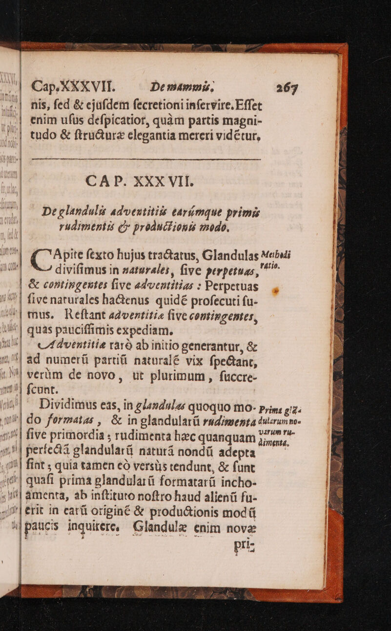 Cap,XXXVII. De mammis, | nis, fed &amp; ejufdem fecretioni infervire. Effet ,..| enim ufus defpicatior, quàm partis magni- '.| tudo &amp; ftru&amp;ure elegantia mereri videtur, CA P. XXX VII. De glandulis adveutitiis tarimque primis rudimentis cy production modo. 4 aU | divifimus in saturales, five perpetuas, &amp; contingentes five adventitias : Perpetuas 7| five naturales hactenus quidé profecuti fu- mus. Reftant adventitie live contingenter, J| quas pauciffimis expediam. W^] efvtntitie raró ab initio generantur, &amp; | &amp;d numerü partiü naturalé vix fpe&amp;ant, 4| verüm de novo, ut plurimum , fuccre- qu] fcunt. ——— TU j| perfed glandularü naturá nondü adepta (0| fiat ; quia tamen eó versüs tendunt, &amp; funt | quafi prima plandularü formatarüi incho- 4] amenta, ab inftituto noftro haud alienü fu- 4i] erit in cart origine &amp; produ&amp;ionis mod ü ^|paucis inquirere, Glandule enim nove pri- - DEUM OUT EETENS I l J