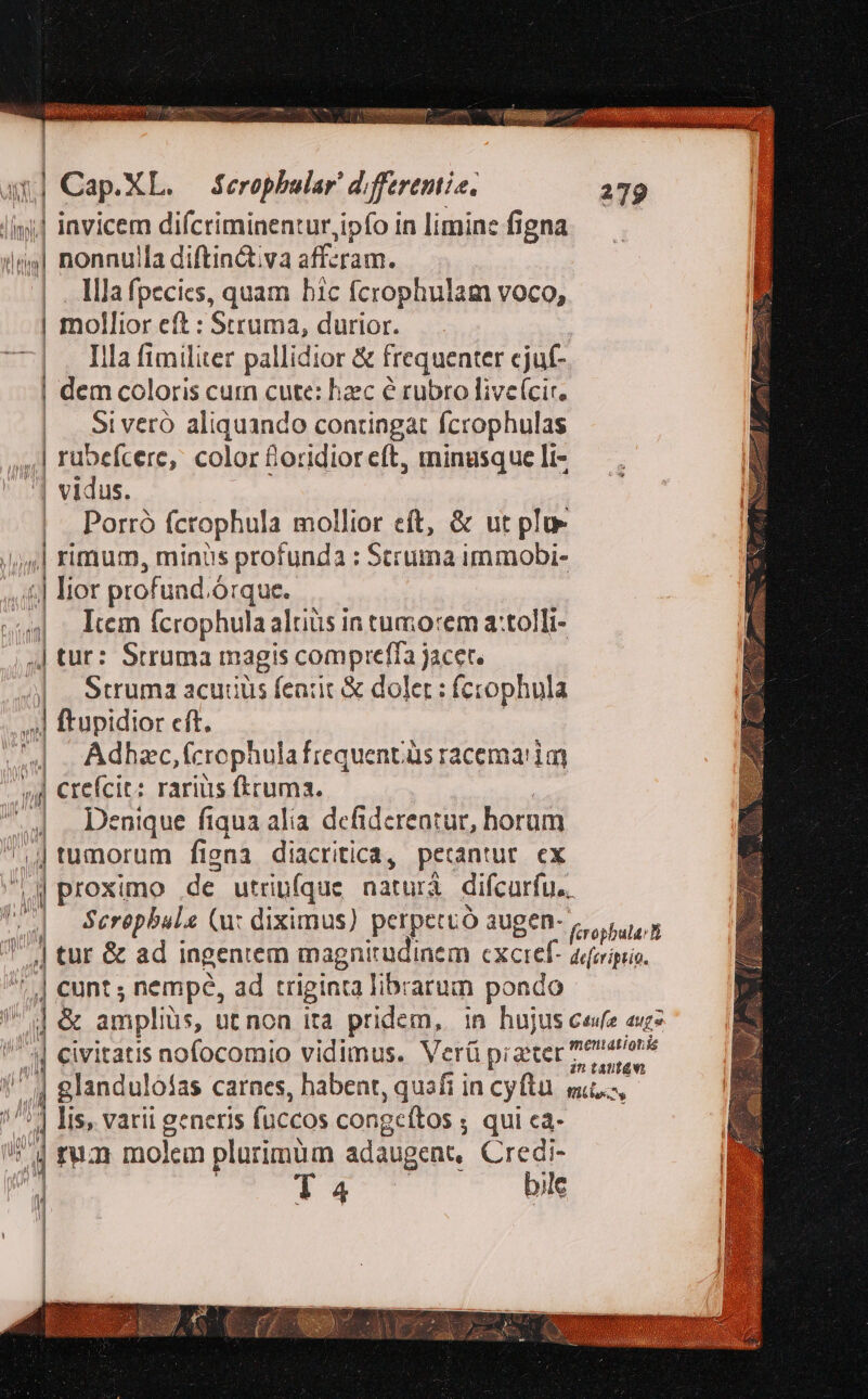 WM |. lllafpecics, quam hic fcrophulam voco, | mollior eft : Struma, durior. |, lllafimiliter pallidior &amp; frequenter cjuf- | dem coloris cum cute: hac é rubro live(cir. |. Siveró aliquanco contingat fcrophulas ,| rübefcere, color £oridior eft, minusque li- | vidus. Porró fcrophula mollior eft, &amp; ut plu- ,,| rimum, minus profunda : Struma immobi- | lior profund c órque. 4| kem (crophula altius in tumorem a:tolli- ,] tur: Strumau nagis comprefta jacet. 4|. Struma acudiüs featit &amp; dolet : fccophula Adhzc, (crophula Írequentüs racema'ia l | Denique fiqua alia defidcrentur, horam | tumorum fisna diacritica, petantur. ex I AM M | Screpbala (u: diximus) perpetuó augen- firopbula-l ,J tur &amp; ad ingentem magnitudinem cxcref. deferiptio. ] cunt ; nempe, ad triginta librarum pondo jj ampliüs, ut non ita pridem, in hujus cefe avg | civitatis nofocomio vidimus. Verü piater PM ] glandul 01as carnes, habent, quafi in cyftu. gi.., : lis, varii generis füccos congeítos ; qui ea- Di 3i rum molem plurimum adaugent, Credi- T 4 bile ( | I | | | | | | |