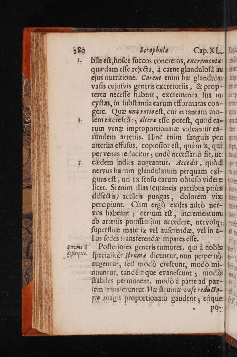 gtruma: i defcriptio, ét. e  $erophula Cap. XL. .| bile eft)hofce fuccos concretos, excrementa: | ni quadam effe reje&amp;ta, à carae glandulofà im | 1t ejus nutritione. Carezt enim hae glandulae| X vafis cujuívis generis excretoriis, &amp; prop | 5 terea necefle hibent, excrementa füa im [c cyftas, in fubftantia earum efformatas con- | ni gere. Qua sna ratio eft, cucin tántàám mo--| qu lem excrefcacs altera cffe poteft, quód ea» | ox: rum venz improportonarz videantür e4- | t: ründem arteriis. Hinc enim fanguis per] ax arterias effufus, copiofior eft, quàm is, quii | itj per venas reducitur ; undé neceffarió fit, ut: | uni edem indis augeantur. Accedit , quàdl| ar nervus harum glandulatum perquam exi--| ijj guus cft ; uci ex feafu earum obtufo videre: | ni licet. Sienim illas (cutaneis partibus priüs:| rs diffe&amp;is) aculeis puagas, dolorem vix] ii percipiant. Cum cergó exiles adco. ner-| vos habéant 5. cerrum eft, incrementum] p àb arteriis potiffimum accedere, nervoíqs] n fuperfluz matetriz vel auferendze, velin a-] i lias fedes transferendae impares effe. ' Pofteriores generis tumores, qui à nobis| ii fpecialitér rum dicuntur, non perpeti | tj augentur, fed modo crefcunt, modo mi--| i. nuuntur, tándéimque evanefcunt ;. modà] y. ftabiles permanent, modó à pàrte ad par--| v. tem 'rins'eruntur. Hze ftrum vaferedacfa-| i. te inagis proportionato. gaudent ; eóque:| fii AUS | -. p2-| ! H