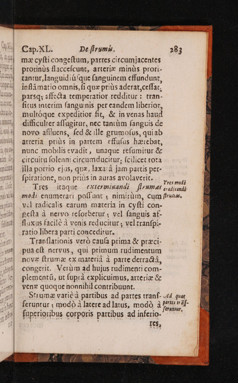 ^| mzacyfticonzeftum, partes circumjacentes /P!| protinus Baccefcunt, arterix minis proti- | ranrur,languidiü/que fanguinem cffundunt, 74 inflÓàmatioomnis,fi qux priüis aderat ceffac; da parsq; «ffecta tempcratior redditur: tran- wT&amp;| fitus interim fanguinis per eandem liberior, | multóque expeditior fit, &amp; in venas haud au difficulter affugitur, nec taniüm fanguis de iU novo affiuens, fed &amp; ille grumofus, quiab «MU arteria priüs in partem cffufus haerebat, Mí nunc mobilisevadit, unaque refumitur &amp; (n4 circuitufoleani circumducitur; fcilicet tota mu jllaporrio ejus, quz, laxa:à jam pattis per» qM fpiratione, non priüsinaurasavolaverit. —,, ——,, | ; d o  res modi Tres itaque extermimanai — flrWmus estia Q3M modi enumetrari poffuat ; nimirum, cum ffruas. im] vel radicalis earum. materia in cyfti con- «mi^ geíta à nervo reforberur ; vel fanguis af- 43 fluxus facilé à venis reducitur ; vel tranfpi- | gatio libera parti conceditur,  Tranflationis veró cau(ía prima &amp; praci- w| puaeít nervus, qui primum rudimentum t| nove ftrumz cx materiá à parte detra&amp;á, 4| congerit. Verüm ad hujus rudimenti com- ^l] plementü, ut (uprà cxplicuimus, arteriae &amp; «mW» vene quoque nonnihil contribuunt. | — Struma vari&amp;à partibus ad partes tranf- 44 qua w| feruntur ; modó à latere ad atus, modó oid | fuperioribus corporis partibus ad inferio- à; Tes,