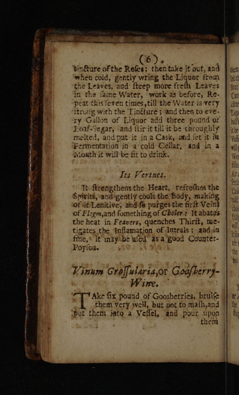 AOR RR ne ales aS RET, ? tn&amp;ure of the Refes; then take it out, and ‘when cold, gently wring the Liquor from the Leaves, and fteep more frefh Leaves in the faine Water, work as before, Re- peat this feven times, till the Water is very itruig with the Tinétureé 5 “and then to eve- Loaf-Sugar, -and ftir it till it be throughly melted, and put it ina Cask, and fet it m ‘Fermentation in a cold Gellar, and in a ivionth it will be fit to drink. Tts Vertnes. Tt. ftrengthens the Heart, refrefhes the Spirits, and-gently cools the Body, makin of it Lenitive, and fe purges the firft veins of Flzgm,and fomething of Choler-: It abates the heat in Feavers, quenches Thirft, tme- tigates the Ynflamation of Intrals ;- aadsn fine,* it may\be uled” as a good Counter- Poyloa. . ‘ ; P Vinum Groffulariaor Goafberrs- tC. 1’ Ake fix pound of Goosberries, bruife them very well, but not to math,and put them iatg a Veflel, and pour upon them