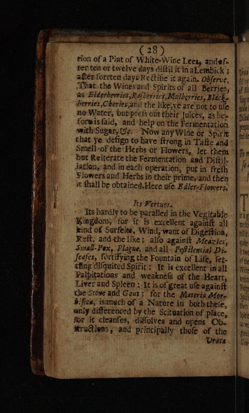 tion of a Pint of White-Wine Lees, andef. fer ten or twelve days diftil itn aLembick ; after forrten days Reétifie it again, Obferve, “Dhat.the Wines'and Spirits of all Berries, as Elderberries ,Rajberries,Mulberries, Black. berries ,Cheries,and the like,ve are not to ule no Water, butiprefs out their Juices, as be forwisfaid, \and ‘help on the Fermentation veith Sugar, ¢. ° Now any Wine or Spirit that ye defign to have ftrong in Tafte and Smell-of the: Herbs or Flowers, let. them ° bot Reiterate the Fermentation and Nittil- dation, and in each operation, put in freth Sowers and Herbs in their primeyand then at thal be obtained.Here ufe E dlersF lowers, Its Pertyes, its hardly to be paralled in the Vegitable Kingdom, for it is excellent againft all kind of Surfeite, Wind; wart of Digeftion, Reft, andthe likes alfo againft Afeazies; Small-Pex, Plague, and.all&lt; Pefilential Di- feafes, fortifying the Fountain of Life, fet- cfing difquited Spirit: It is-excellent inall Valpitations and weakneG&amp; of the)Heart, Liver and Spleen : it is.of great ufeagaint the Stove and Gout; for the Materia More - bifrcx, isanech of a: Nature in both thele, anly differenced by the Scituation of place, for it cleanfes, diffolves and opens Ob. ttrugtiens sand principally thofe of the Urata