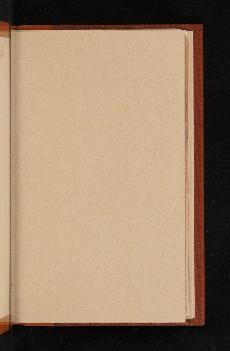      deletebeyeLeonatet ep ste pete dta VOEDETETS oL P351 