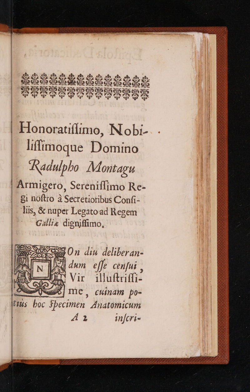   ERITIITITTITDIT M EIlllllilicllii eje eje 'euo «e v9 €  | Honoratiffimo, Nobi- | liffimoque Domino Aadulpbo AMontagu | Armigero, Sereniffimo Re- £i noftro à Secretioribus Confi- liis, &amp; nuper Legatoad Regem Gallis digniffimo,  SsJ On diu deliberan- ld dwm effe cenfus , TE Vir illuftriffi- AaeUdi5] me, cuinam po- His boc fbecimen. ZAnatomicum | A3 infcri-                 