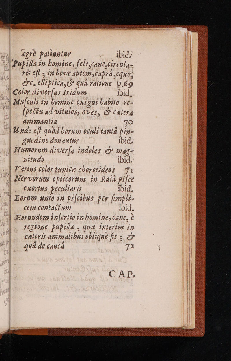               wi - 4gre patiuntur ibid/ | Ad Pupillasn bomine, felecantcircula- ! (| ri eft in bove autemycaprá equo, Il ] erc, ellzbtica e qua ratione p.69 Il | Color diver(us Iridums — — Yid, IM I - MMu[culi in bomine exiaui habito .ve- I M fptéfu ad vitulos, oves, c catera l : | animantia 7o Il: ; !] Uude e[l quod borum oculi taptá pin- L| |. guedine donantur —— ibid. | 4d Haumorum diver[a indoles d mae- M | nittido ibid. n .] Z'arius color tupice chorotideos — 71 |] d ANerverums opticorum, in Raia pifce !| | | exortus peculiaris . ibid. | RH | Eorum unto in pi[cibus per fimpli- ! I | | ctm contactum ibid, j orundem n[ertio ig bomine, cane, 2 | ij regen pupile , qua. interim in | ll || enteris animalibus obliqué fit . c IN | | qua de caus 72 |      