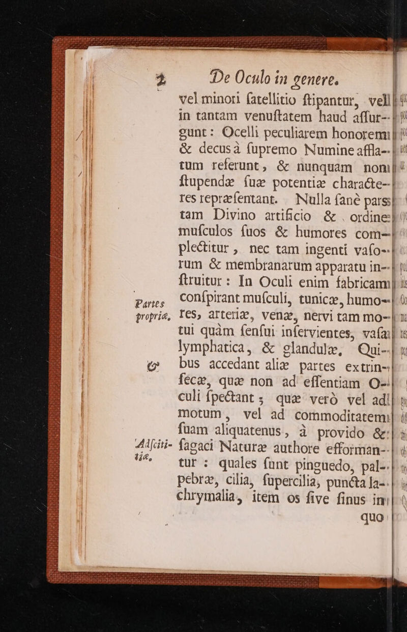               Ad TIRUMICITNMO TE EUR MITT E NEU TT) 1I PAIN a DPINE Tor CRURA  LP dus S ANC Tid dE au rh uer nu ds  bd D    r. b IHE EHIDR anscddur a TEN T d N DIA jvites fuas ne] HRS ik d m Es   De Oculo ín venere. | vel minori (atellitio ftjpantur, vell] in tantam venuftatem haud affur-- 1 eunt: Ocelli peculiarem honoremil ? &amp; decusáà fupremo Numine affla-- |i! tum referunt, &amp; nunquam nom]! Ítupende íuz potentia characte--| resreprafentant. Nulla fané pars! tam Divino artificio &amp; . ordine: d? mufculos fuos &amp; humores com-! plectitur, nec tam ingenti vafo-.| rum &amp; membranarum apparatu in--| j: ftruitur : In Oculi enim fabricam] ii proprie, T€$, arteriae, veng, nervi tam mo- | x: tui quàm fenfui infervientes, vafa] l lymphatica, &amp; glandulz, Qui-| 1 (» bus accedant alim partes extrin-:| fece, que non ad effentiam. O-.| culi fpe&amp;ant ; qua veró vel ad motum, vel ad commoditatem: fuam aliquatenus, à provido &amp;: 4Ad[iti- fagaci Nature authore efforman- ^ tur: quales fant pinguedo, pal-.| s pebrz, cilia, fupercilia, punéta fa- chrymalia, item os five finus im    e. ce»      L2  