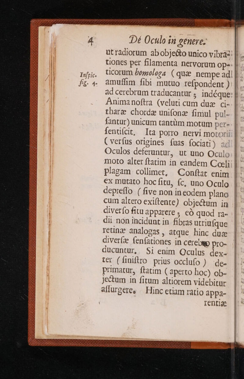niefü CM inn Y » : Ww ^Y. DPI i$ exu ^3 AS ERN is UA OUR de B PRDRRH ESAE A Infric. fg. 4 Dé Oculo in genere; utradiorum abobje&amp;o unico vibras: pr. tiones per filamenta nervorum op-- | ticorum /ozzelega (quz nempe adi] . amuffim fibi mutuo refpondent ) |». ad cerebrum traducantur ; indéque: || ; Animanoftra (veluti cum dua ci-. D- tharg chorda unifonae fimul pul- fantur) unicum tantüm motum pet- fenüícit, Ita porro nervi motori ( veríus origines íuas fociati) Oculos deferuntur, ut uno Oculo moto alter ftatim in eandem Coeli plagam collimet, Conftat enim ex mutato hoc fitu, fc, uno Oculo depreffo ( five non ineodem plano cum altero exiftente) obje&amp;um in diverfo fituapparere, eó quod ra-. dii non incidunt in fibras utriufque - retinz analosas, atque hinc duz | diver (enfationes in cerebwo pro- - ducuntur, Si enim Oculus dey- ter (finiflro. prius occlufo ) de- primatur, ftatim ( aperto hoc) ob- Jectum in fitum altiorem videbitur aflurgeree — Hinc etiam ratio appa- rentiae 