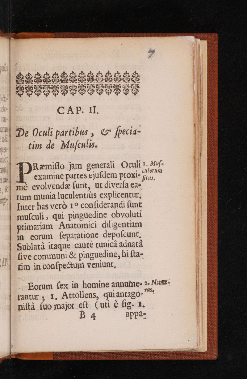 ————    elo, fo. ef hs ef^. ef^ Sese Sui Se Su Sede Seded «m € e» «em ei? [32 CAD. 1I. tin de Mufculis. Ramiffo jam generali Oculi . Mvf- examine partes ejufdem proxi- riis mé evolvenda funt, utdiveríaeae — rum munia luculentiüs explicentur, Inter has veró 1? confiderandi funt muículi, qui pinguedine obvoluti primariam Anatomici diligentiam jn eorum feparanone depoícunt, Sublatá itaque cauté tunicá adnatá five communi &amp; pinguedine, hi fta- tim in confpectum veniunt, Eorum fex in homine annuimee z- Nutre- fantur, I, Attollens, qui antago- ^ nifttà fuo major eft. (uti e fig. 1. b 4 appa-                        